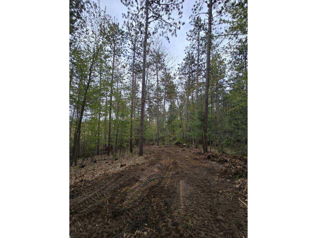 N7897 N 780th Street Colfax WI 54730 1598014 image21