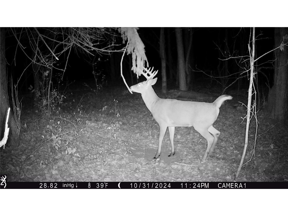 N7897 N 780th Street Colfax WI 54730 1598014 image24