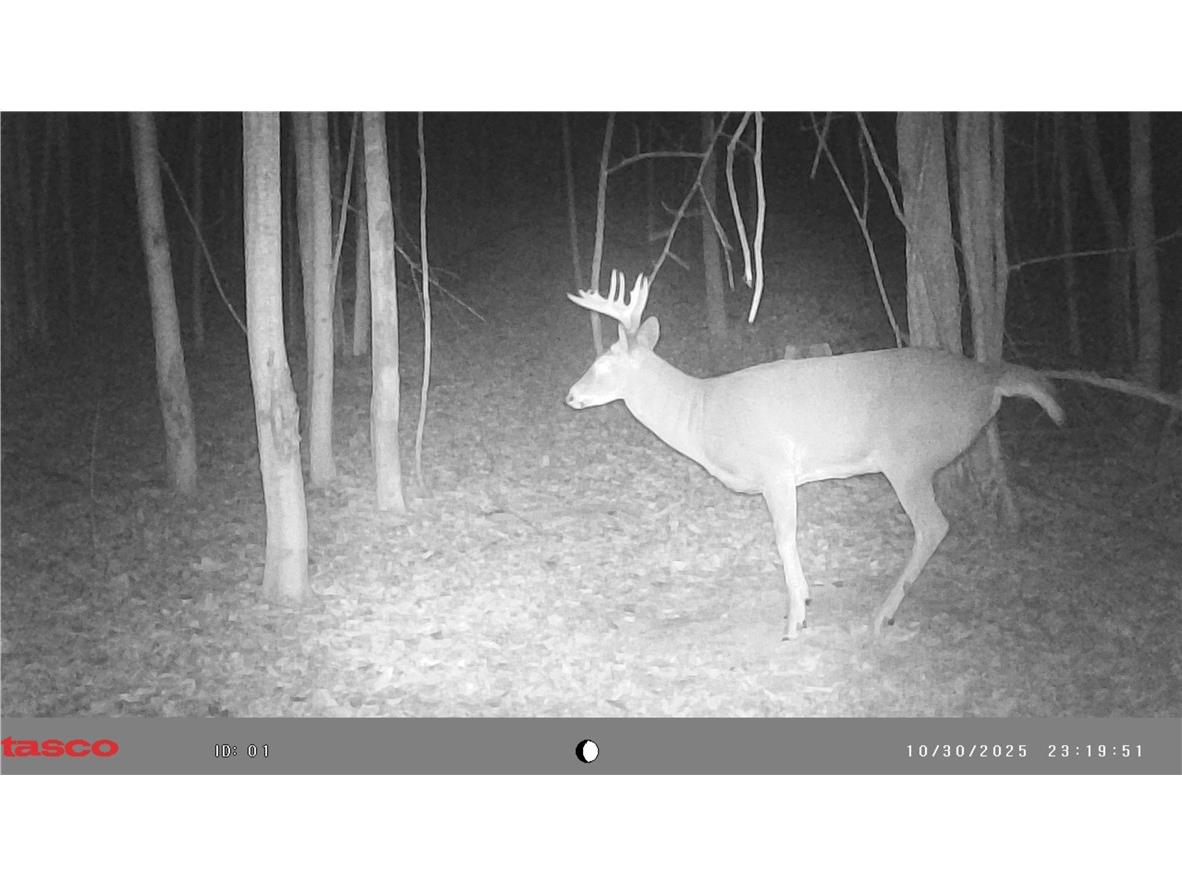 N7897 N 780th Street Colfax WI 54730 1598014 image34