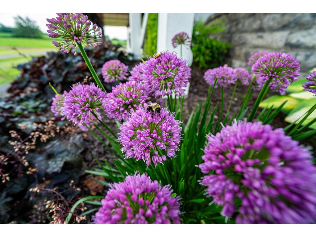 N7900 County Road J Menomonie WI 54751 1588856 image38