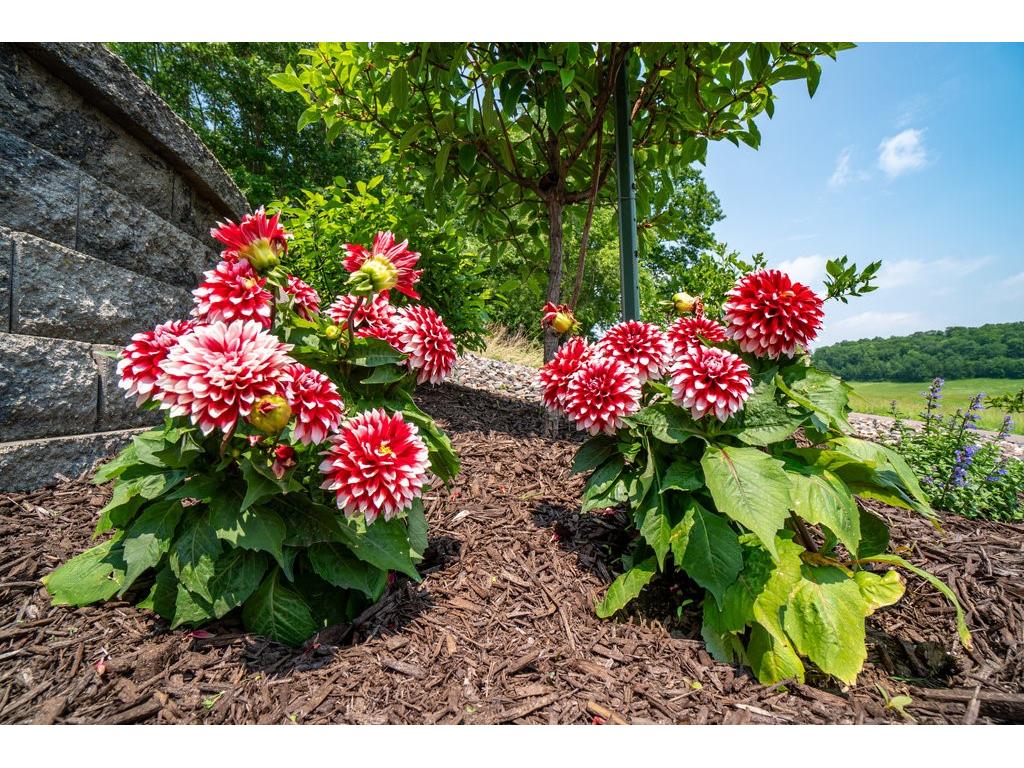 N7900 County Road J Menomonie WI 54751 1588856 image42