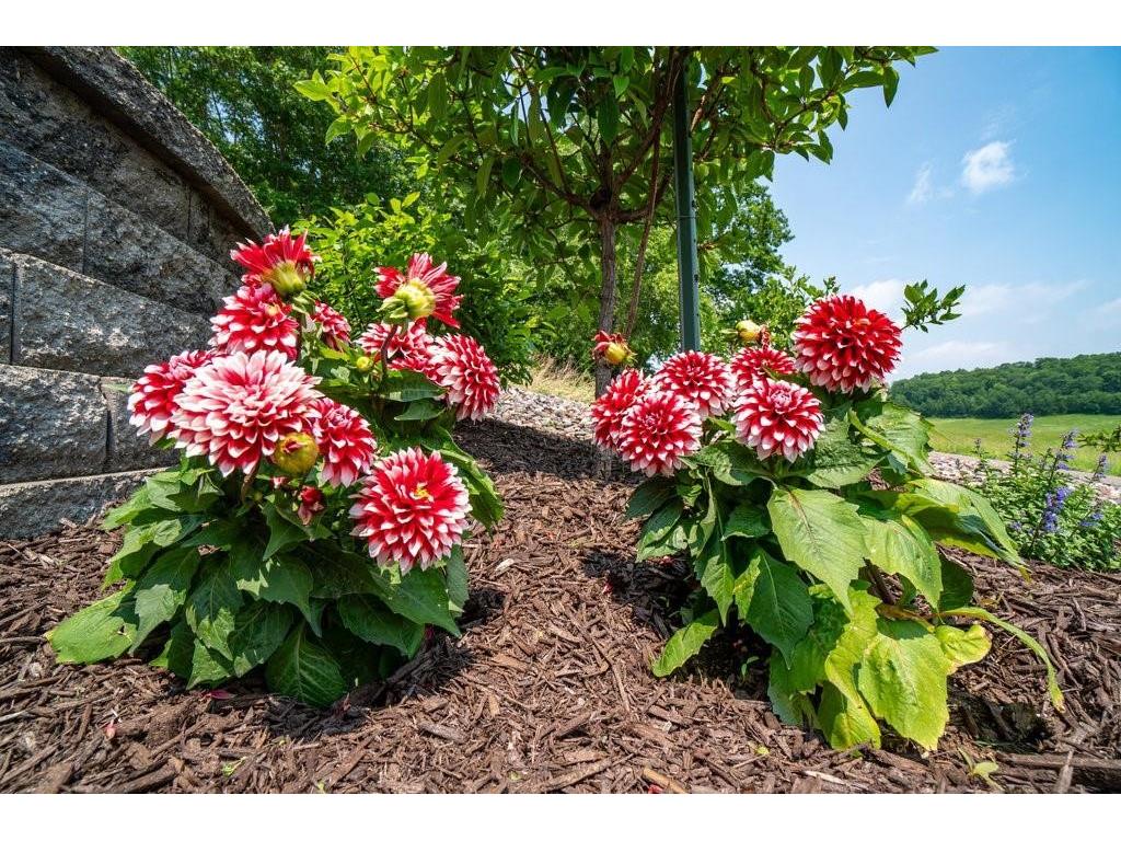 N7900 County Road J Menomonie WI 54751 1595452 image42