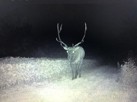 N8046 Snow Creek Street Black River Falls WI 54615 1594216 image1