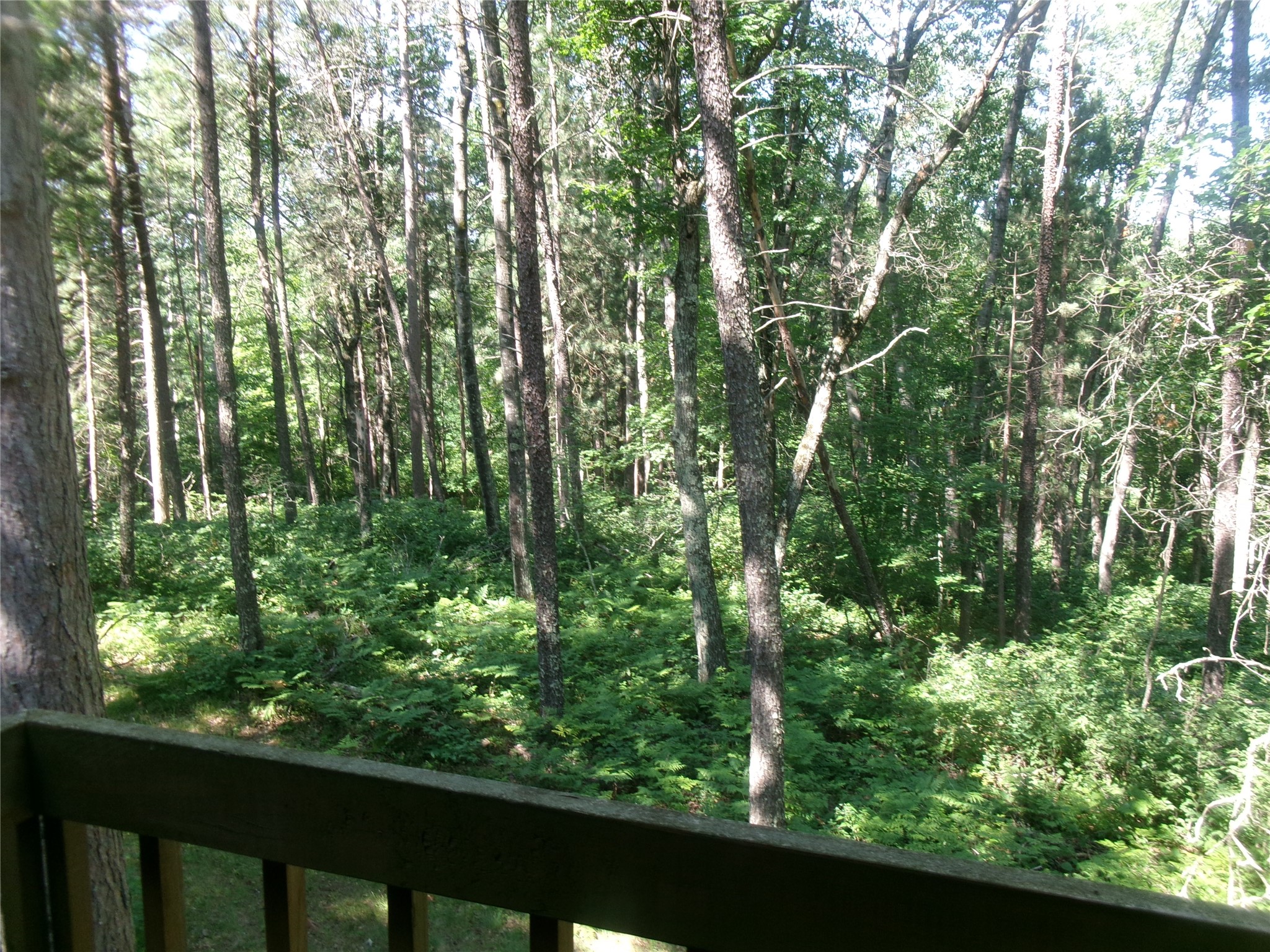 N8151 Cattail Lane Trego WI 54888 1602942 image15