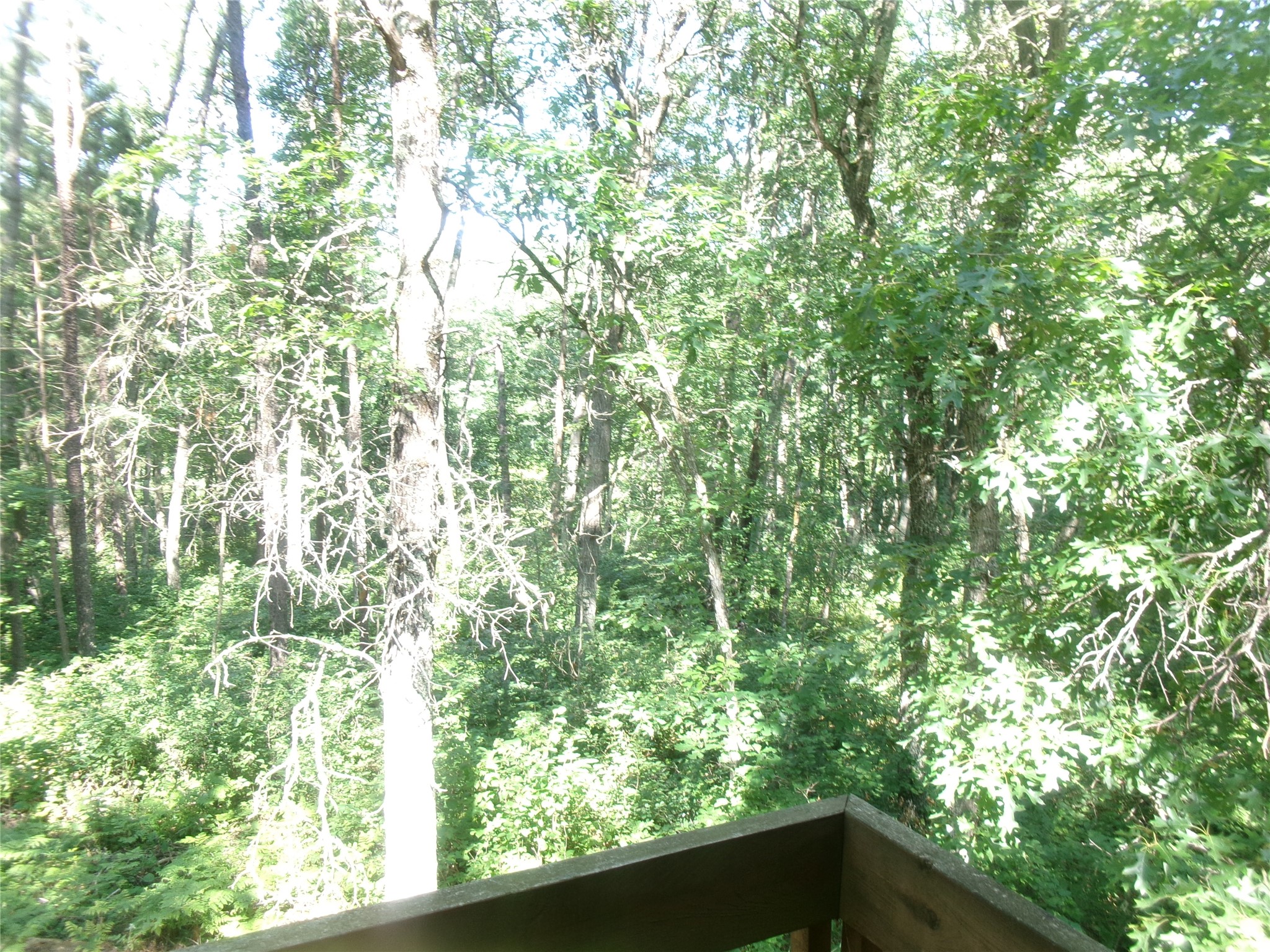 N8151 Cattail Lane Trego WI 54888 1602942 image16