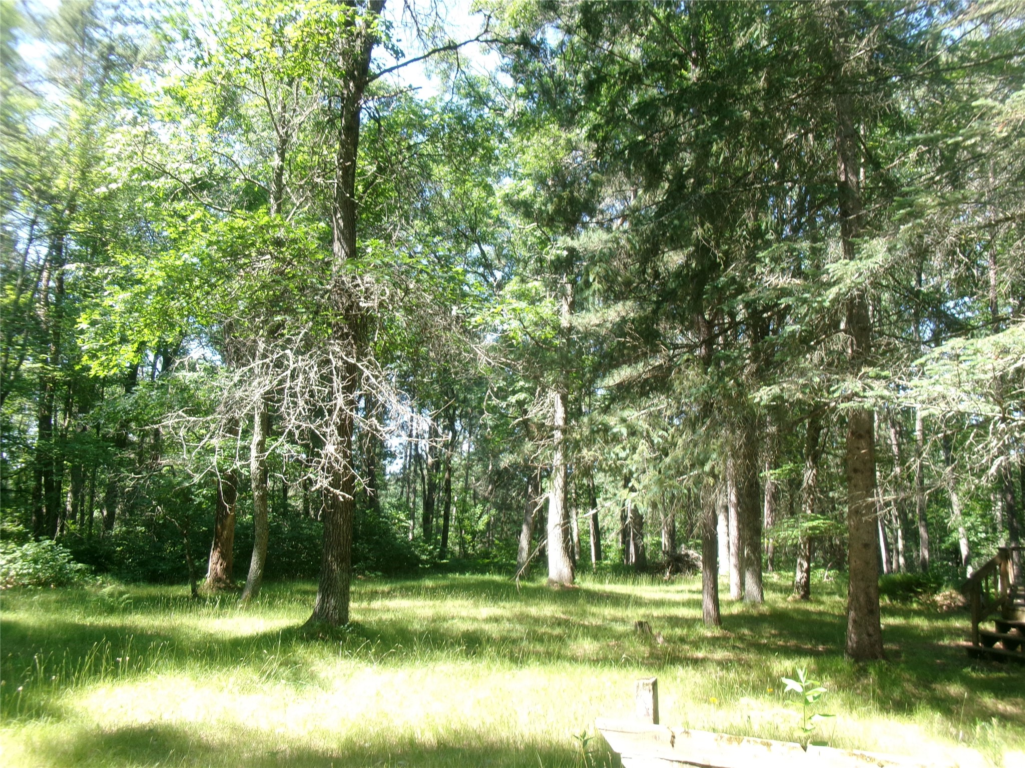 N8151 Cattail Lane Trego WI 54888 1602942 image22