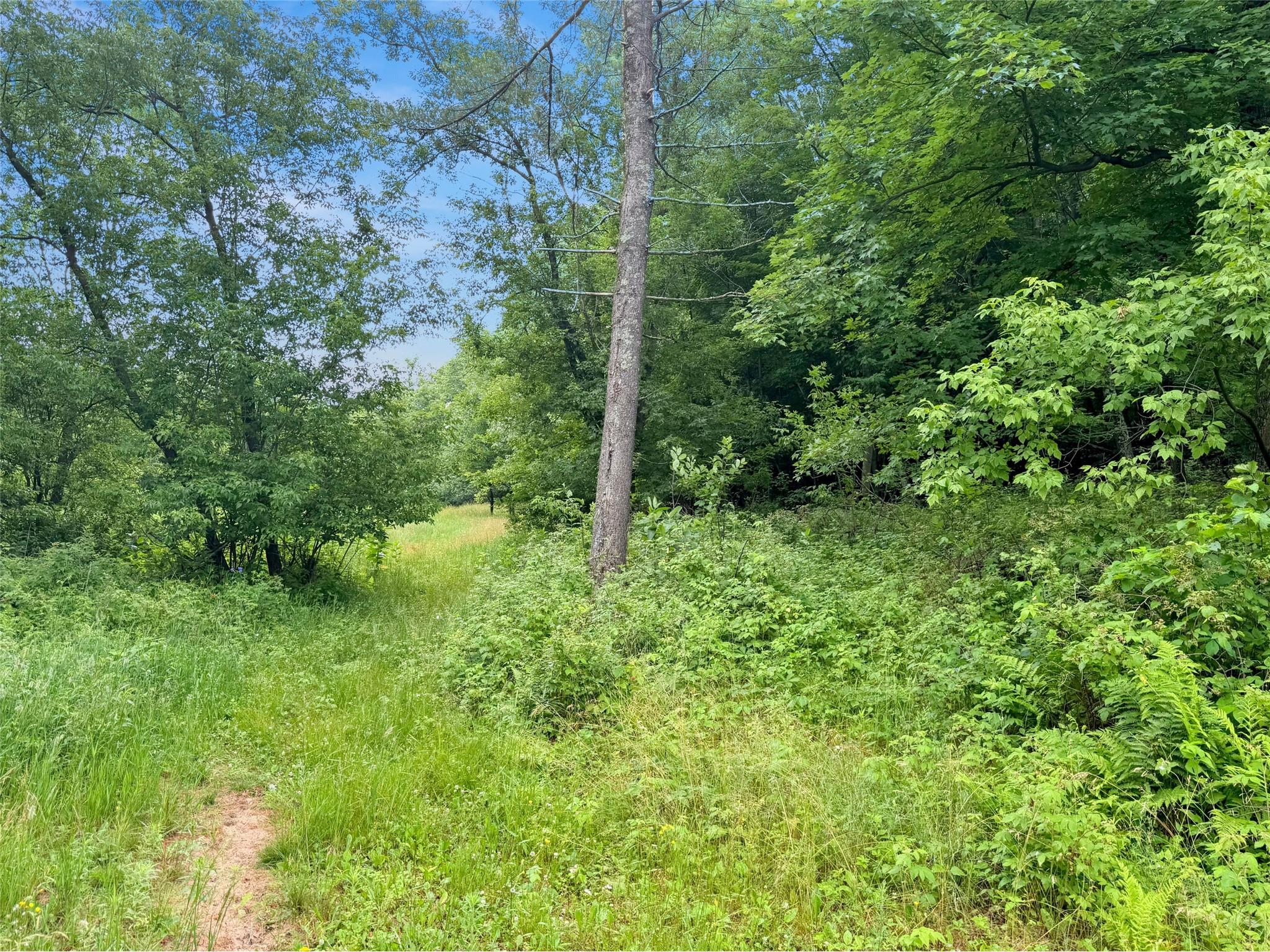 N8188 954th Street Colfax WI 54730 1602761 image11