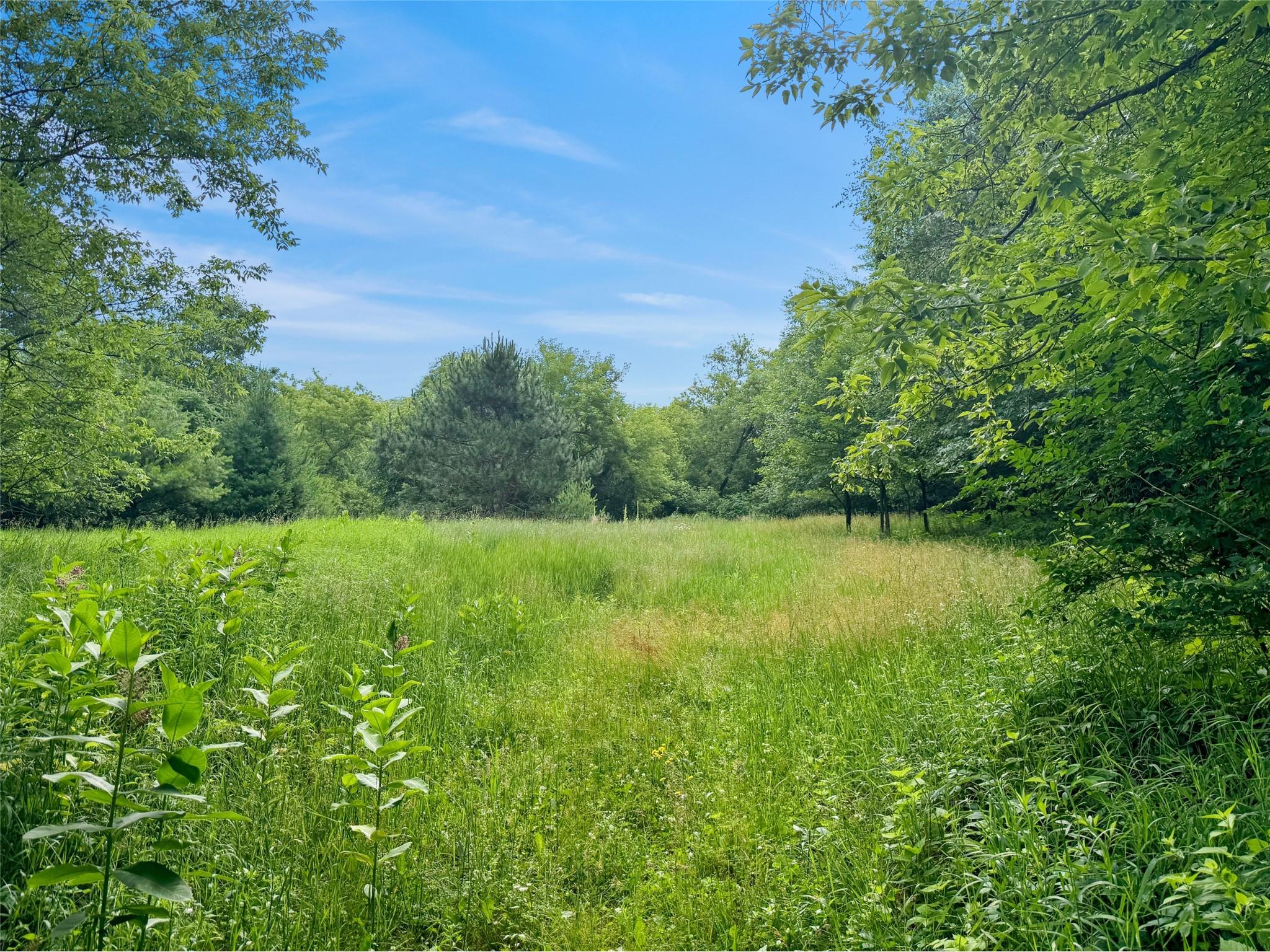 N8188 954th Street Colfax WI 54730 1602761 image13
