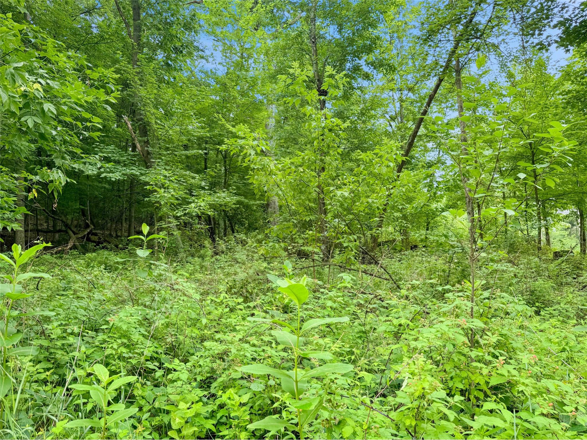 N8188 954th Street Colfax WI 54730 1602761 image15