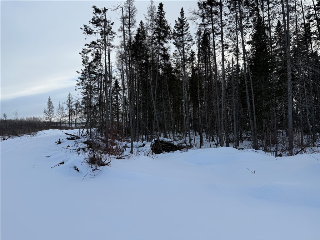 N8280 Winter Road Ladysmith WI 54848 1598303 image13
