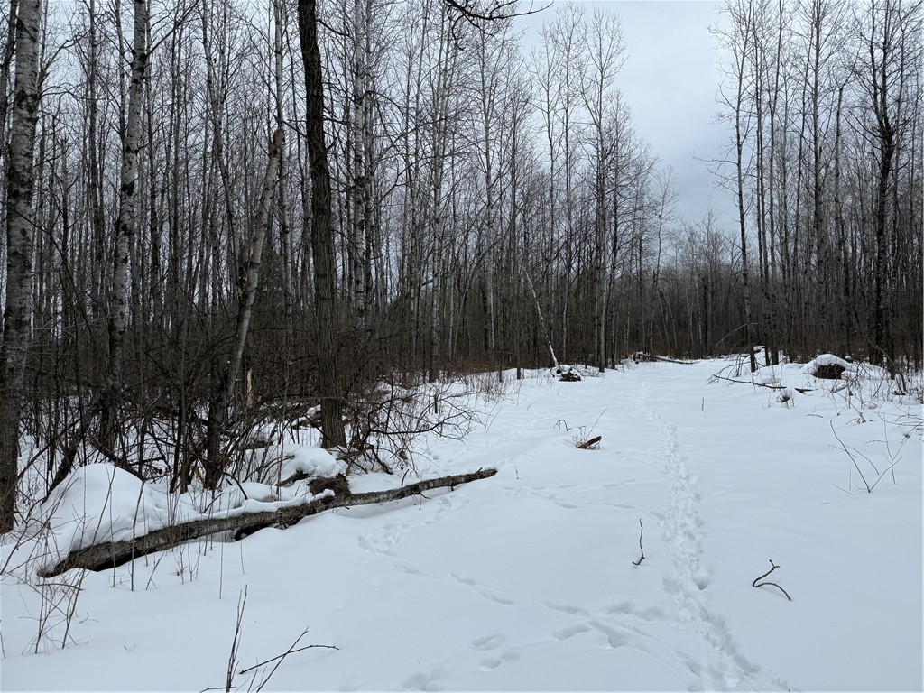 N8280 Winter Road Ladysmith WI 54848 1598303 image28