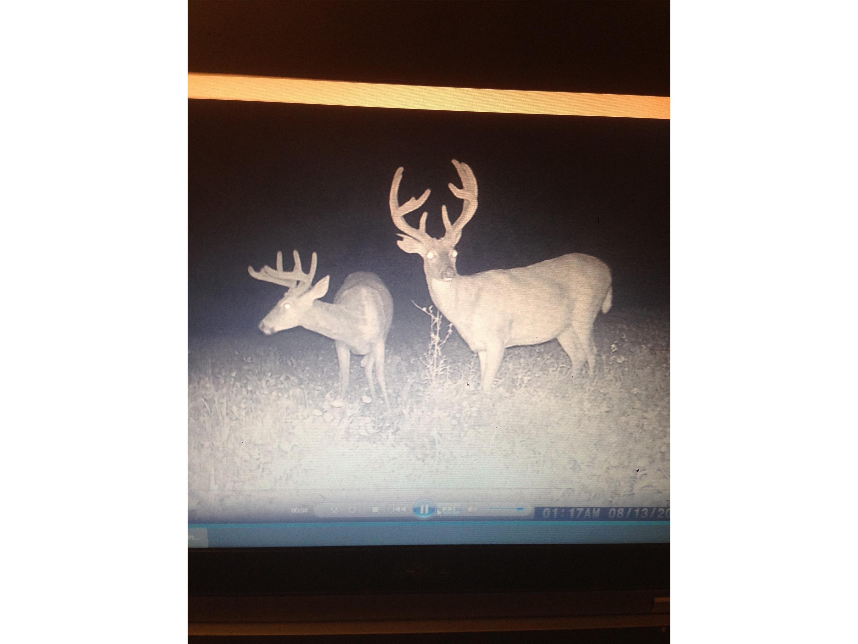 N8771 Fye Road Trego WI 54888 1601563 image10
