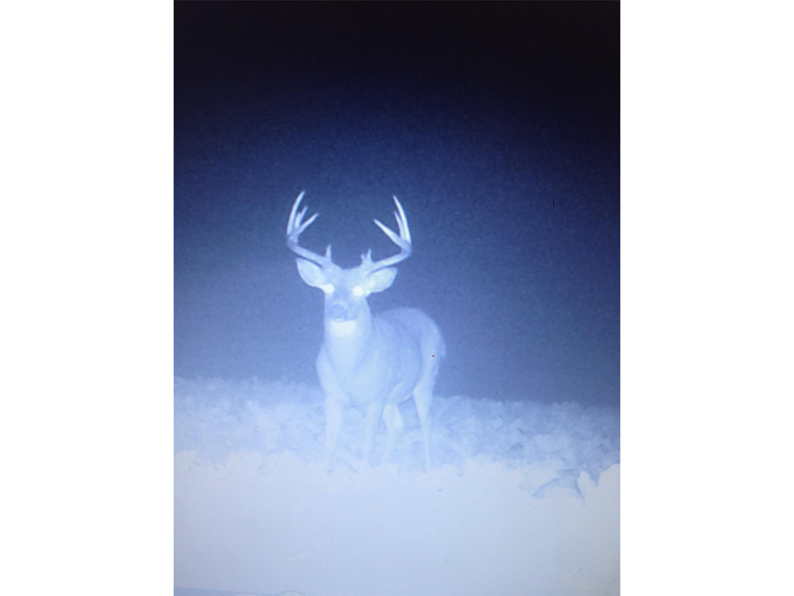N8771 Fye Road Trego WI 54888 1601563 image11