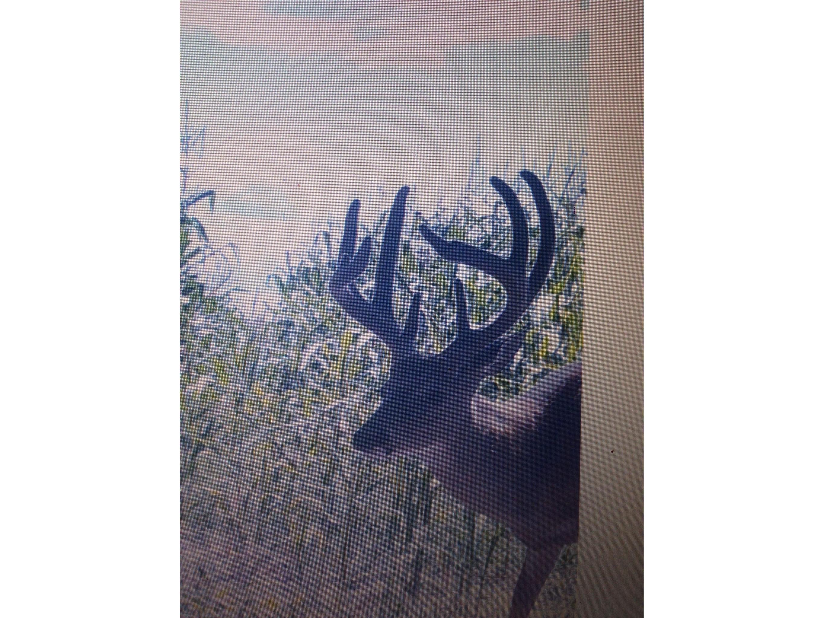N8771 Fye Road Trego WI 54888 1601563 image13