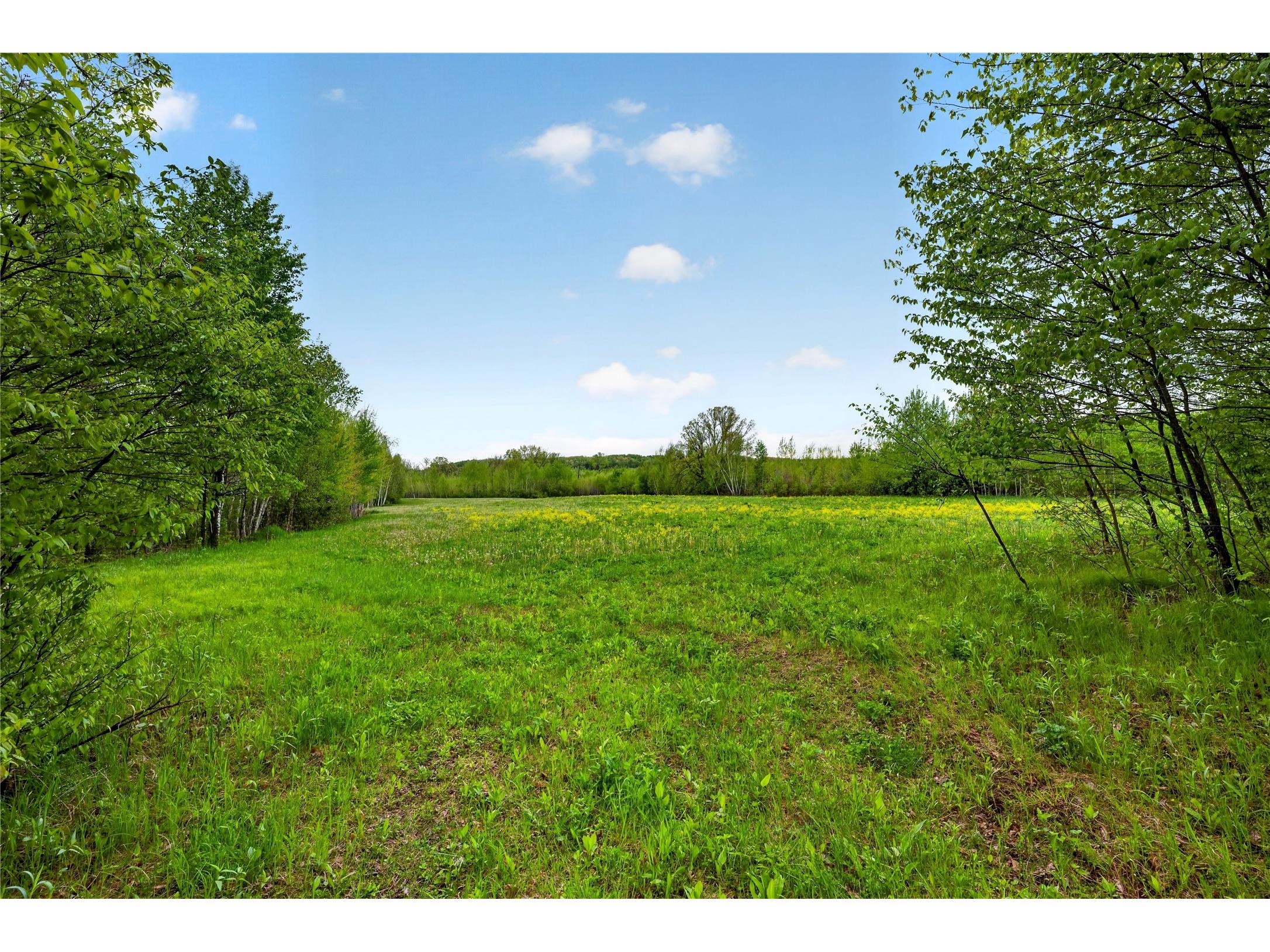 N8771 Fye Road Trego WI 54888 1601563 image15