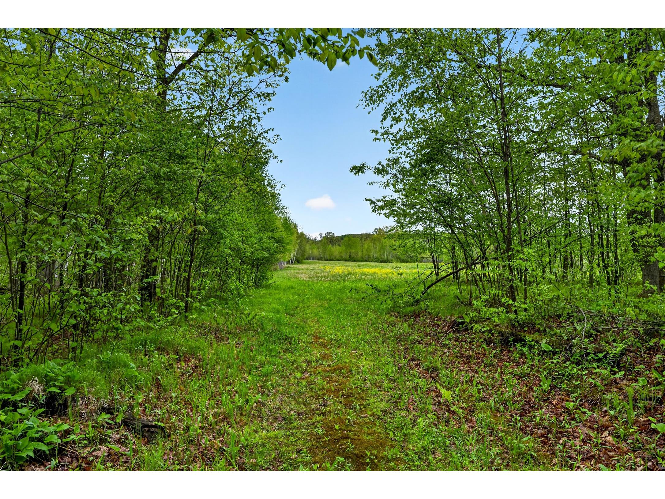 N8771 Fye Road Trego WI 54888 1601563 image17