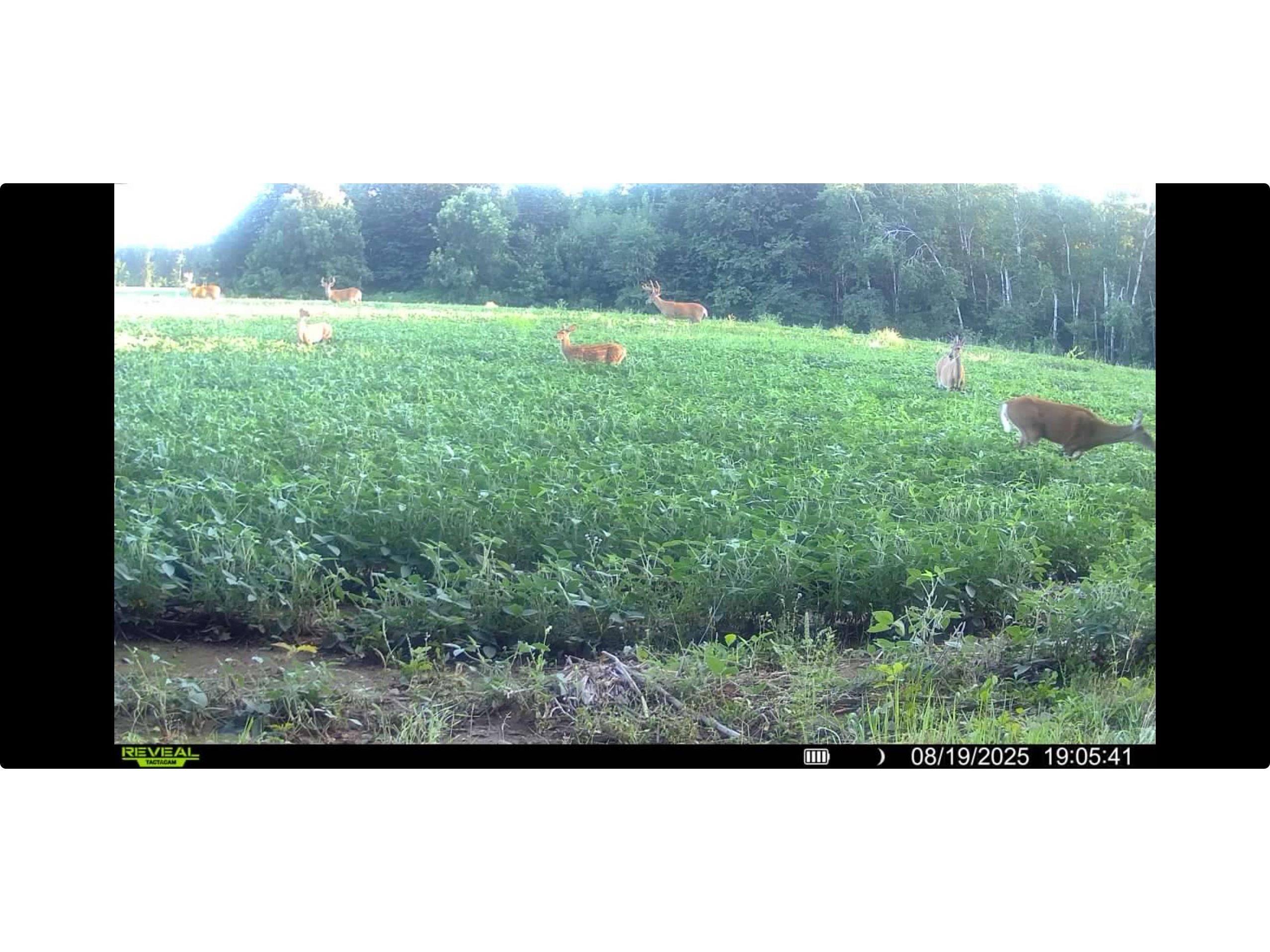 N8771 Fye Road Trego WI 54888 1601563 image26