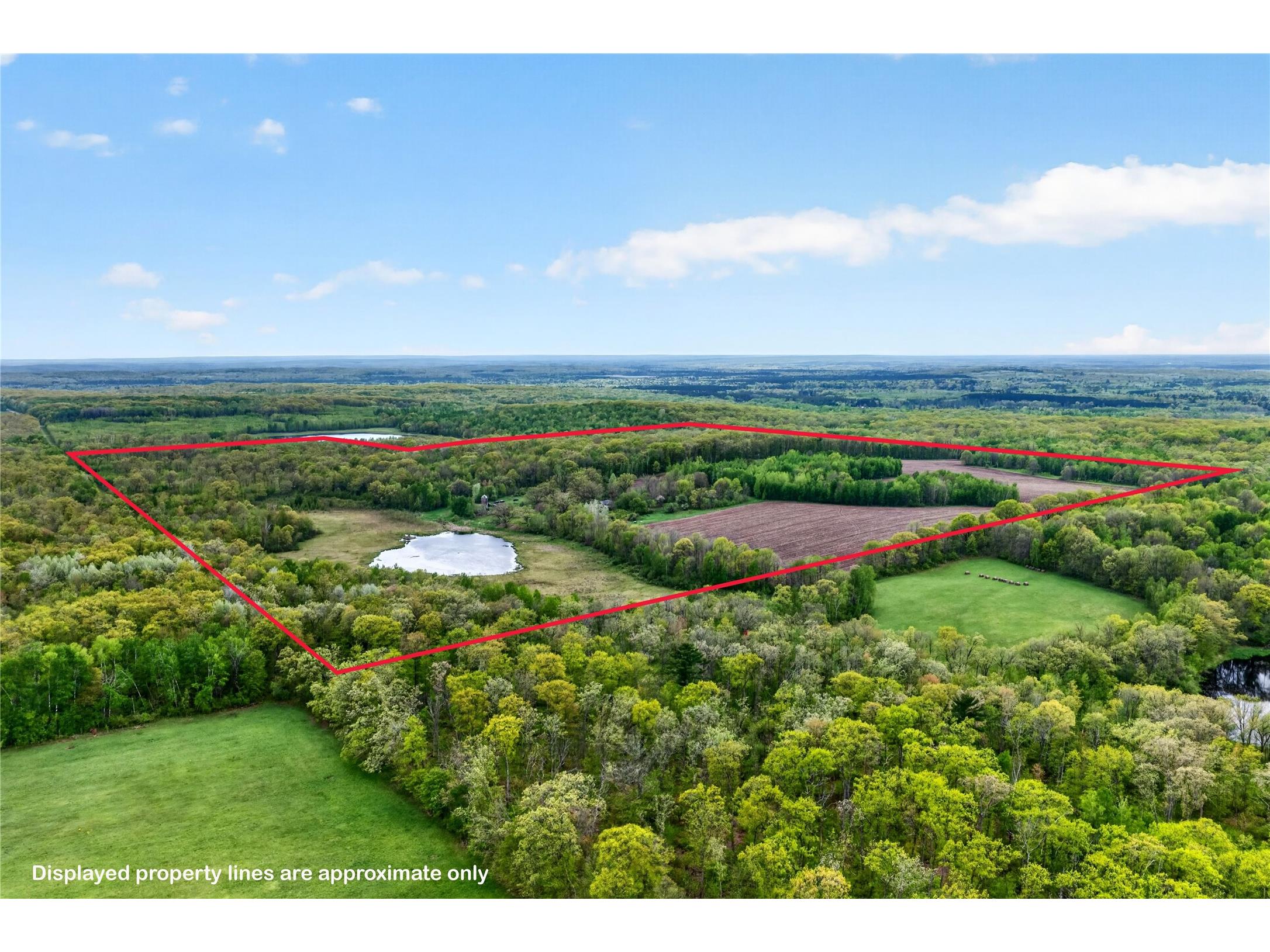 N8771 Fye Road Trego WI 54888 1601563 image3