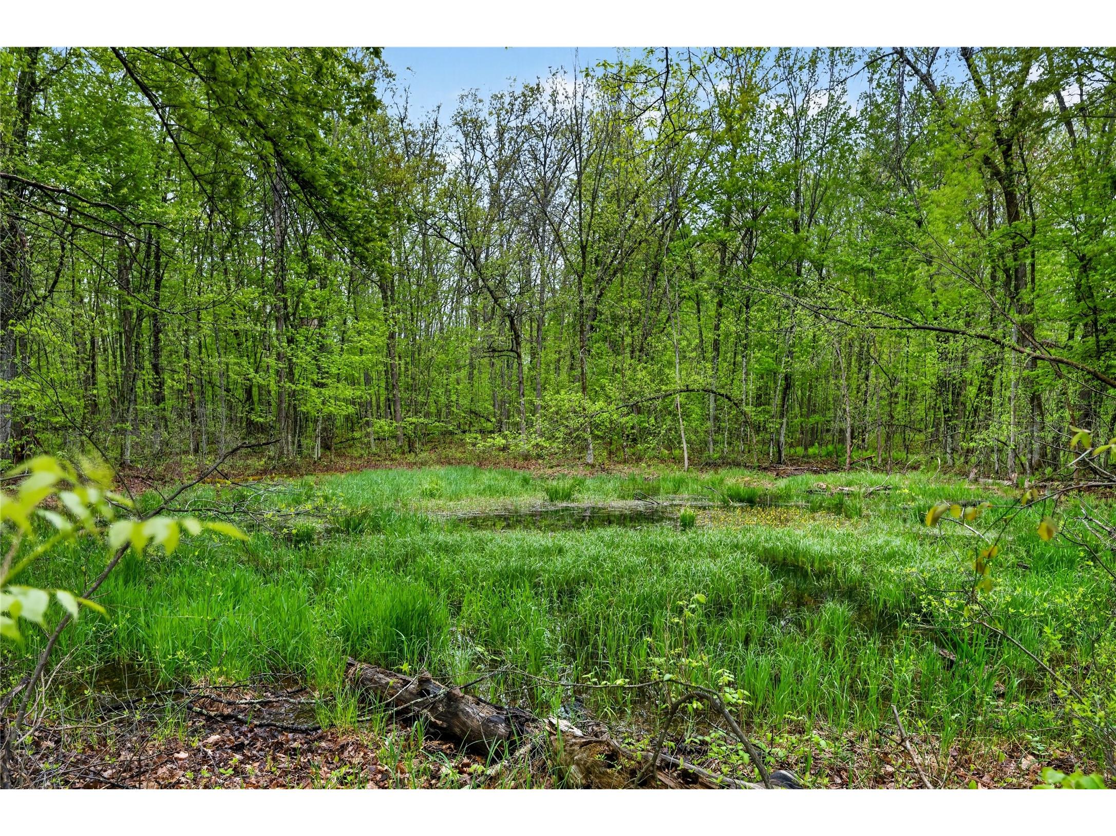 N8771 Fye Road Trego WI 54888 1601563 image37