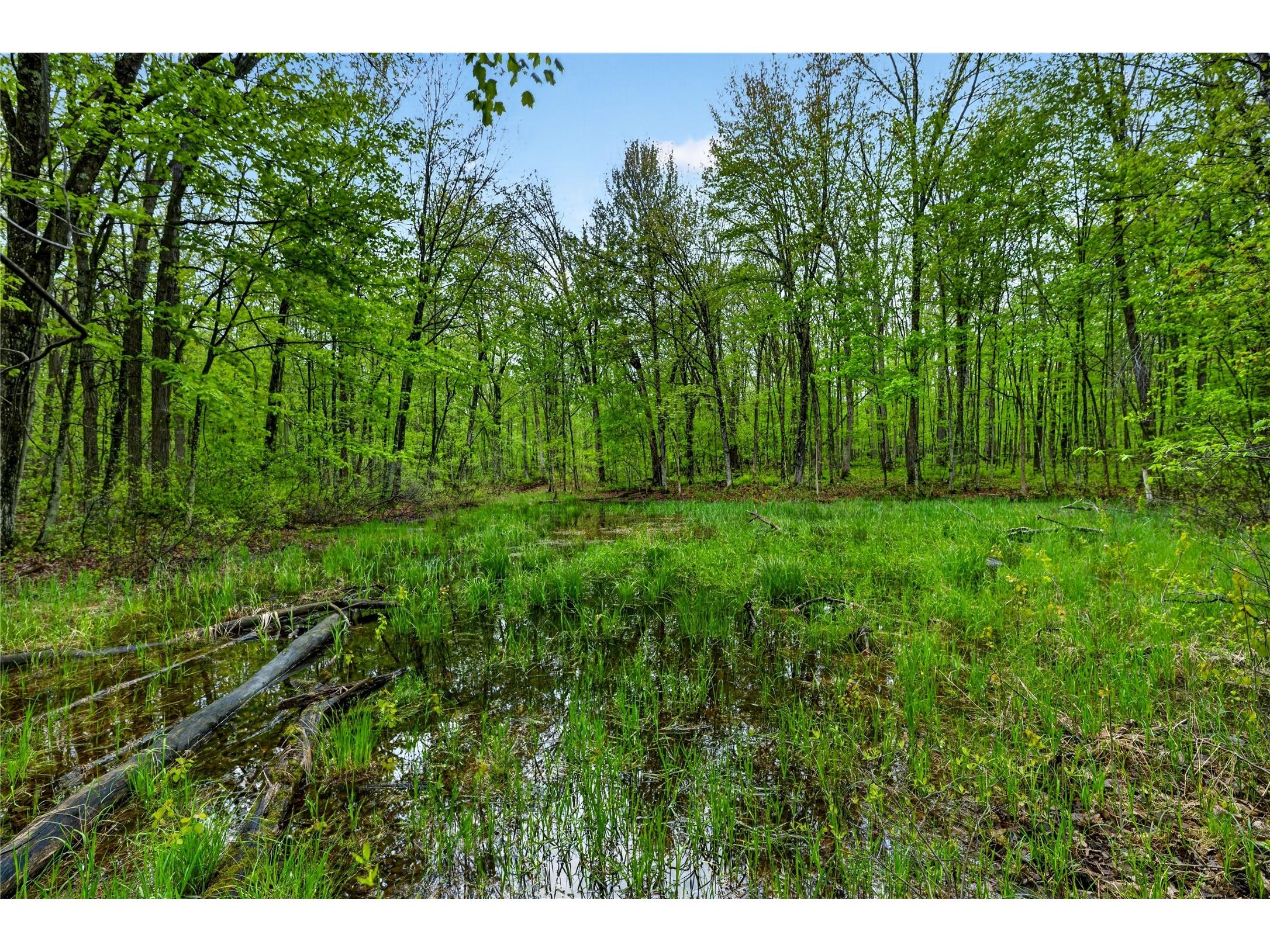 N8771 Fye Road Trego WI 54888 1601563 image38
