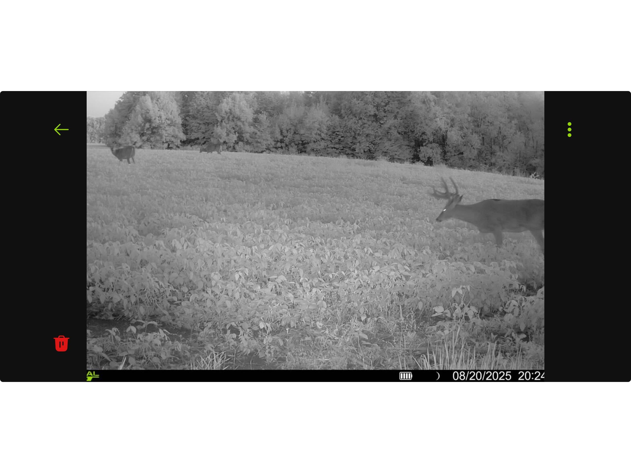 N8771 Fye Road Trego WI 54888 1601563 image43