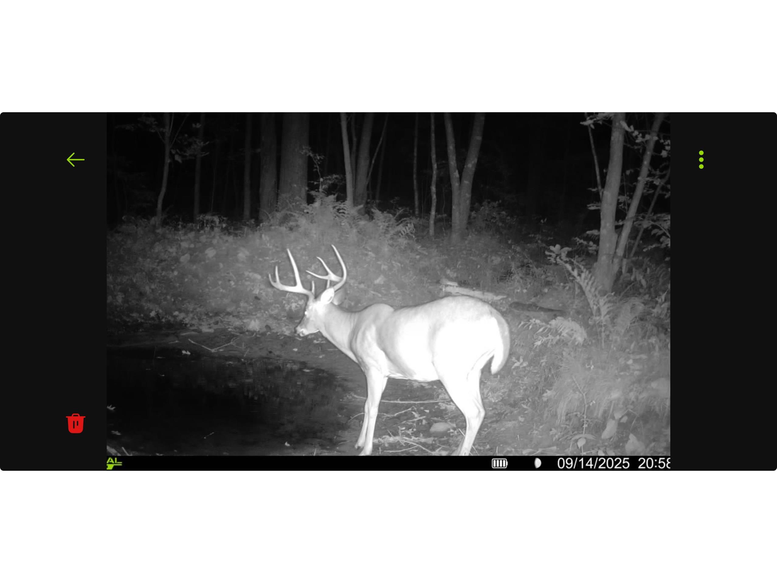 N8771 Fye Road Trego WI 54888 1601563 image45