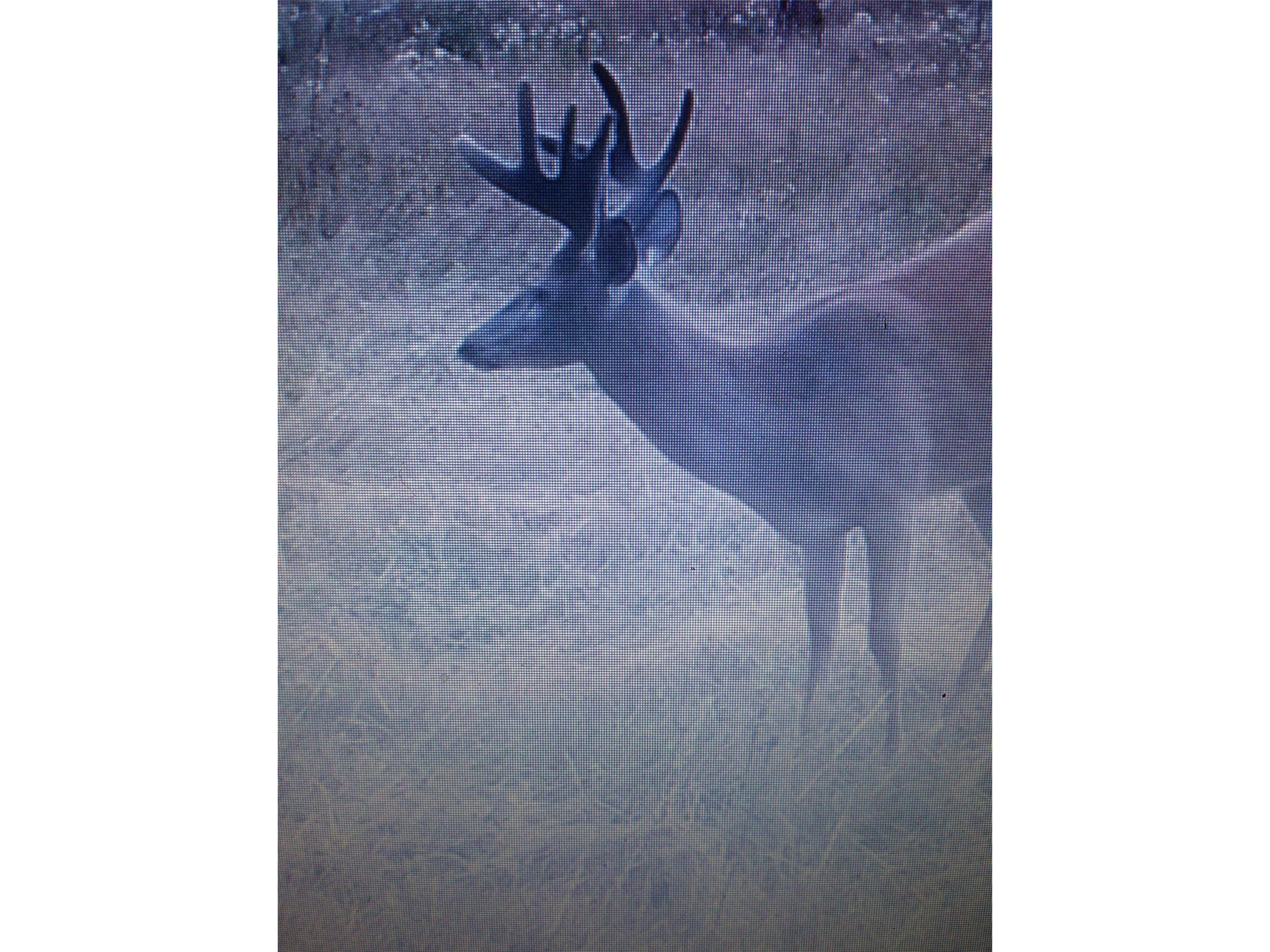 N8771 Fye Road Trego WI 54888 1601563 image47