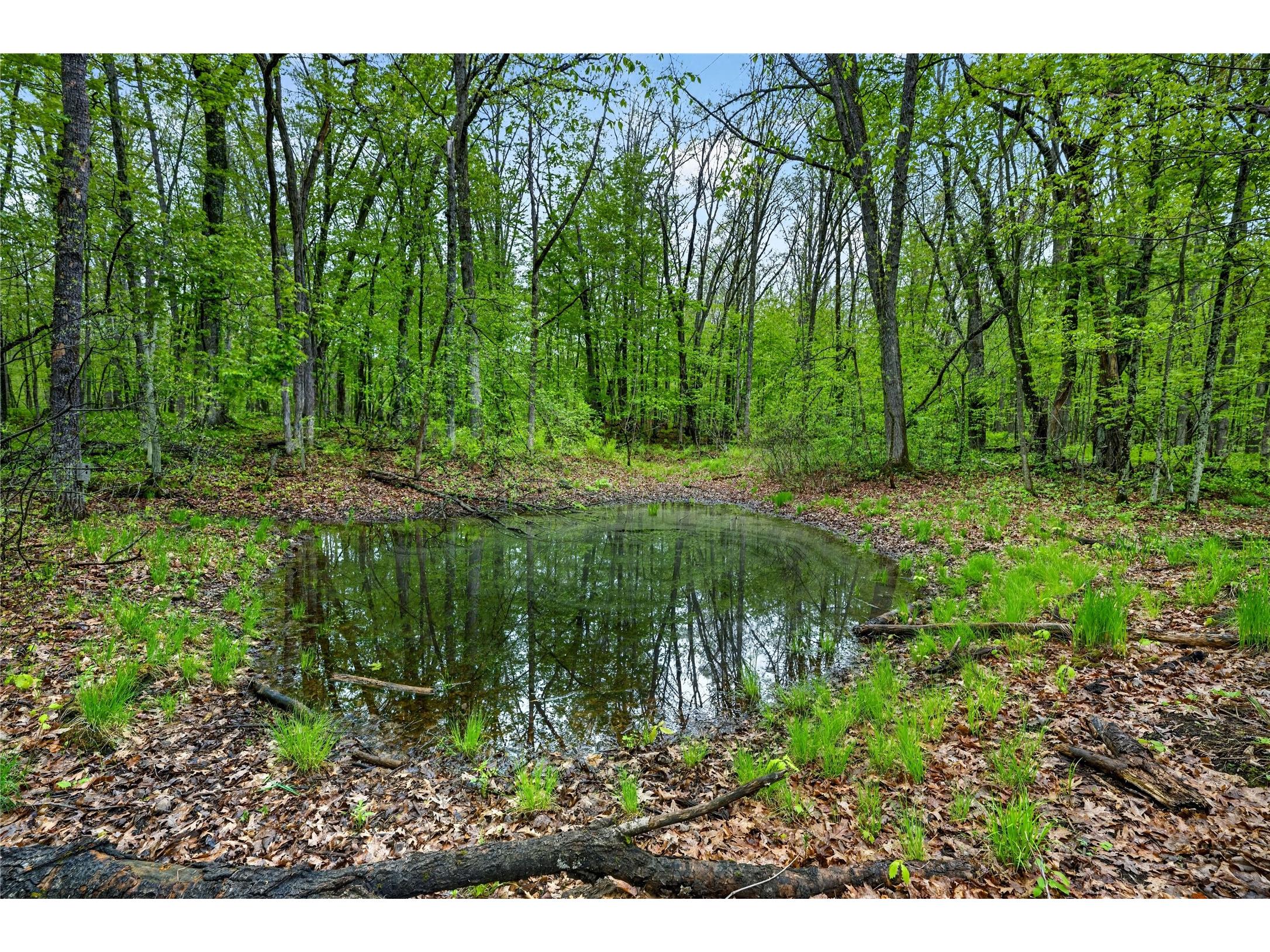 N8771 Fye Road Trego WI 54888 1601610 image22