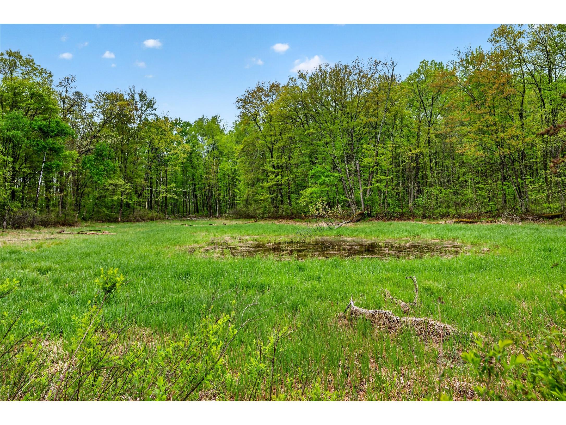 N8771 Fye Road Trego WI 54888 1601610 image23