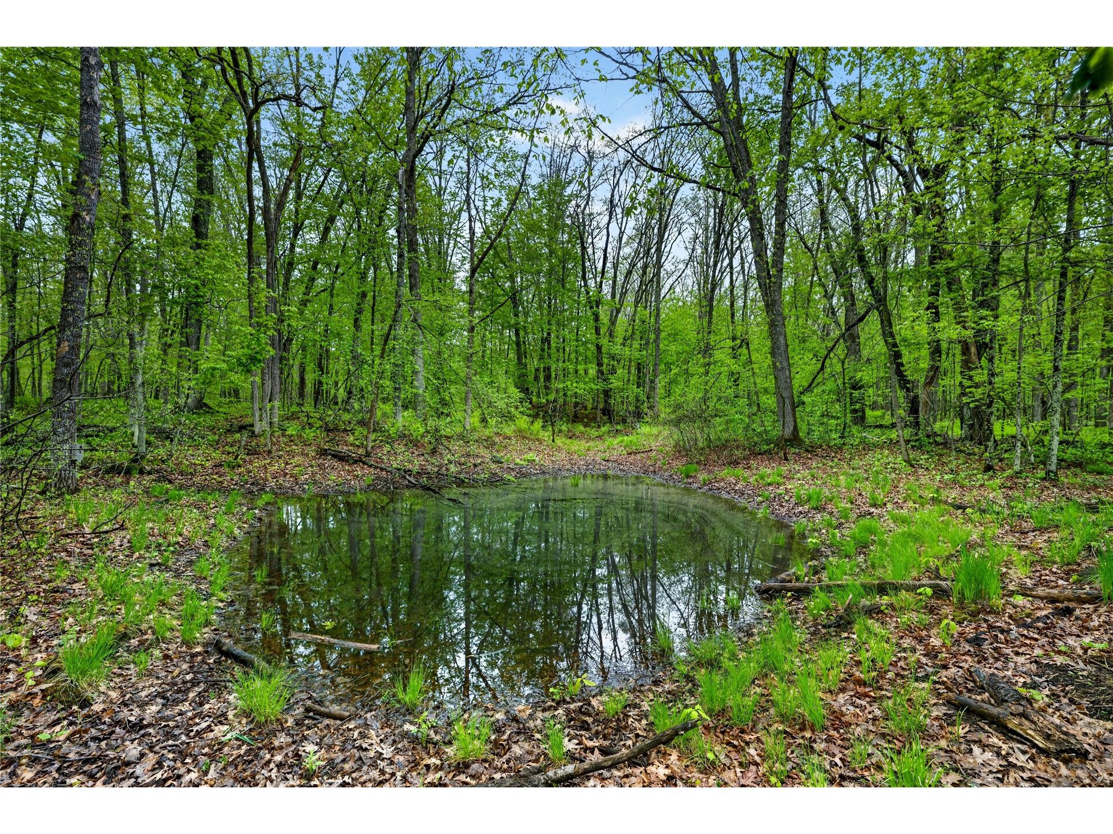 N8771 Fye Road Trego WI 54888 1601610 image26