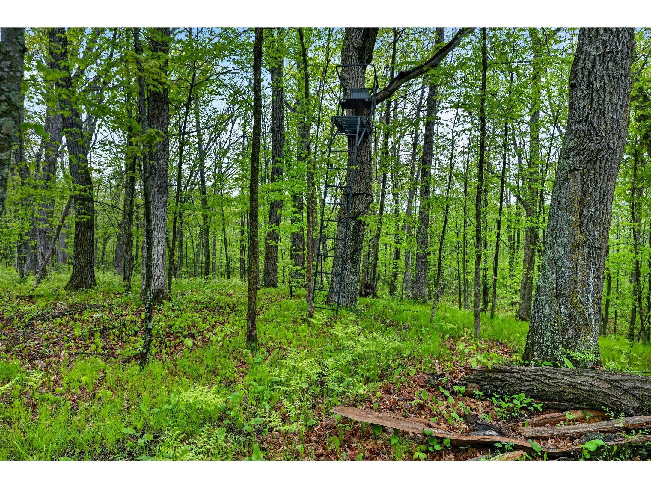 N8771 Fye Road Trego WI 54888 1601610 image27