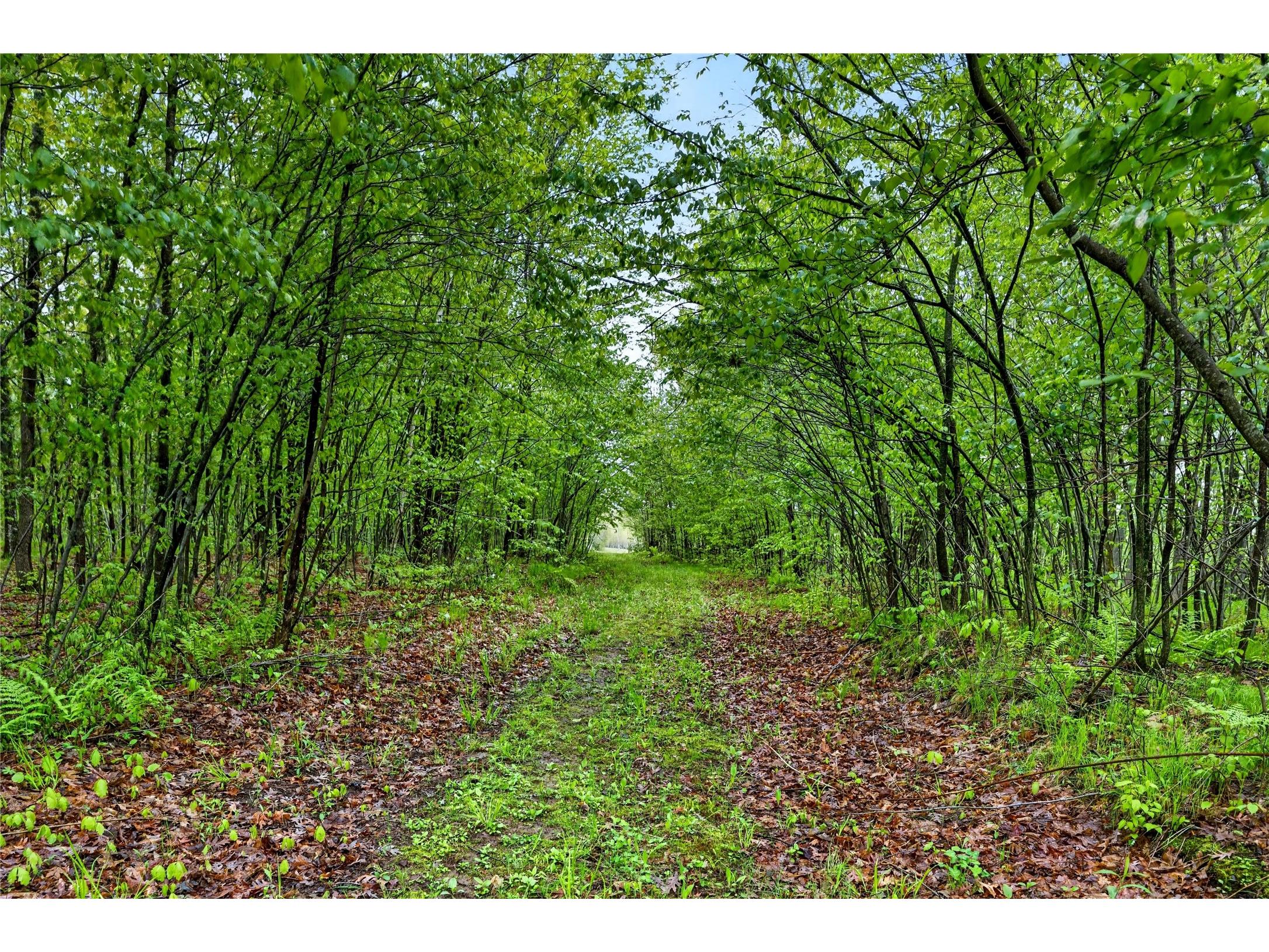 N8771 Fye Road Trego WI 54888 1601610 image29