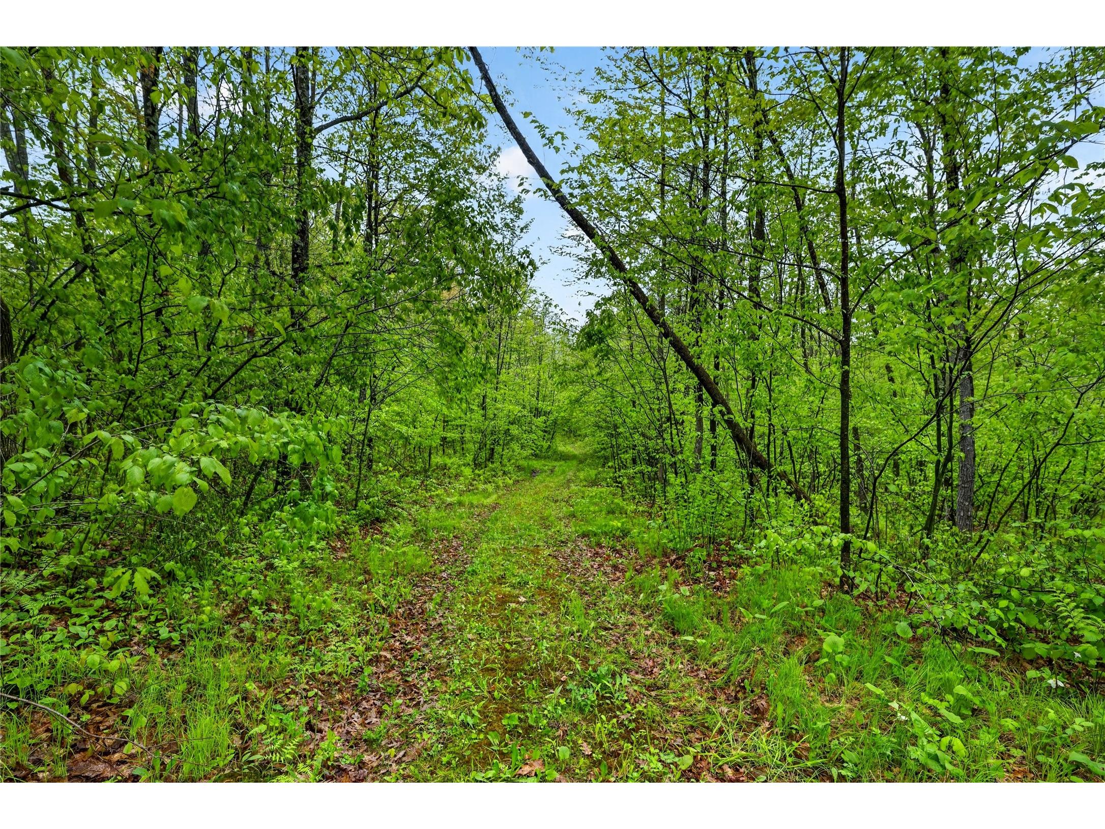 N8771 Fye Road Trego WI 54888 1601610 image30