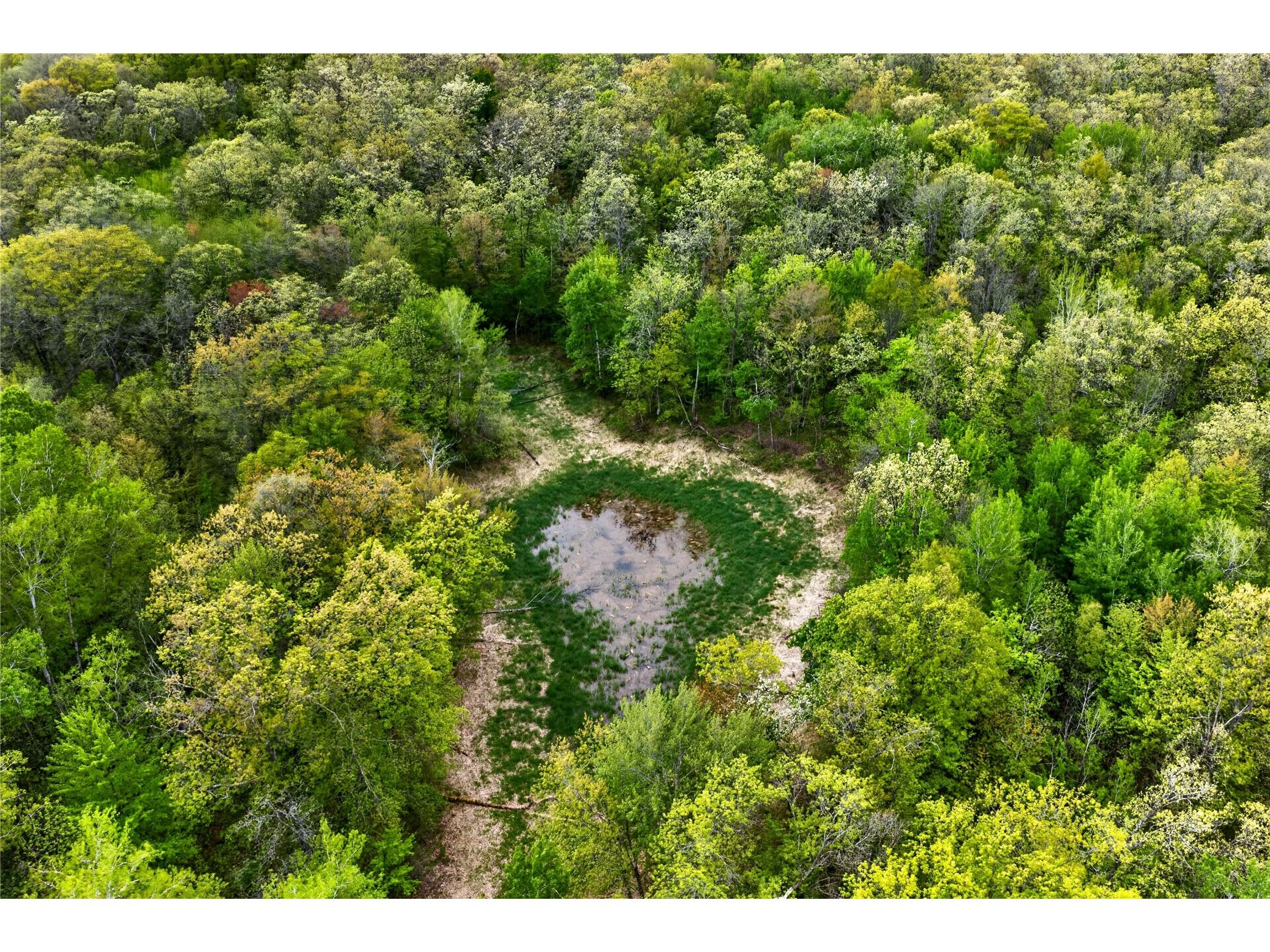 N8771 Fye Road Trego WI 54888 1601610 image31