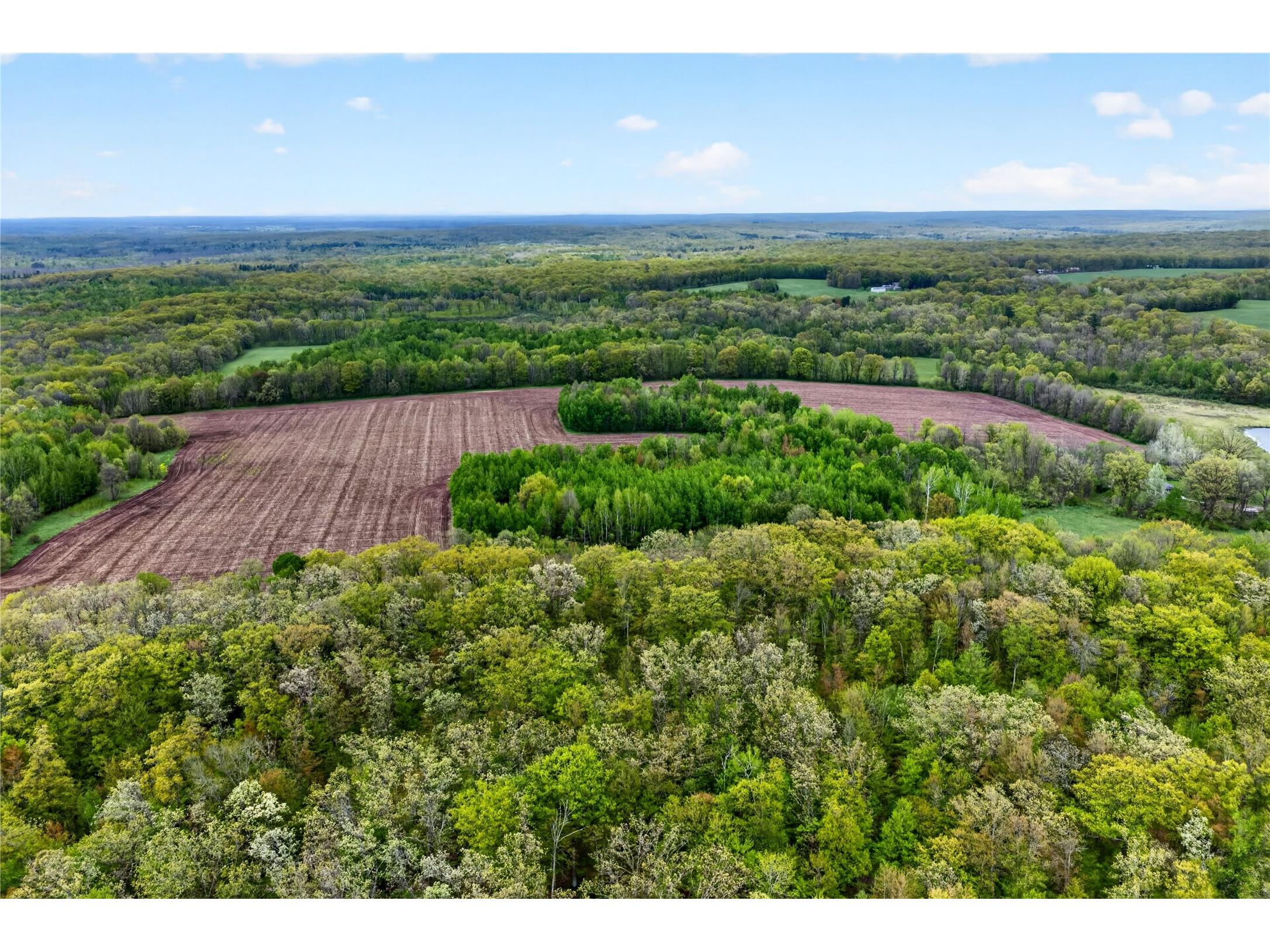 N8771 Fye Road Trego WI 54888 1601610 image32