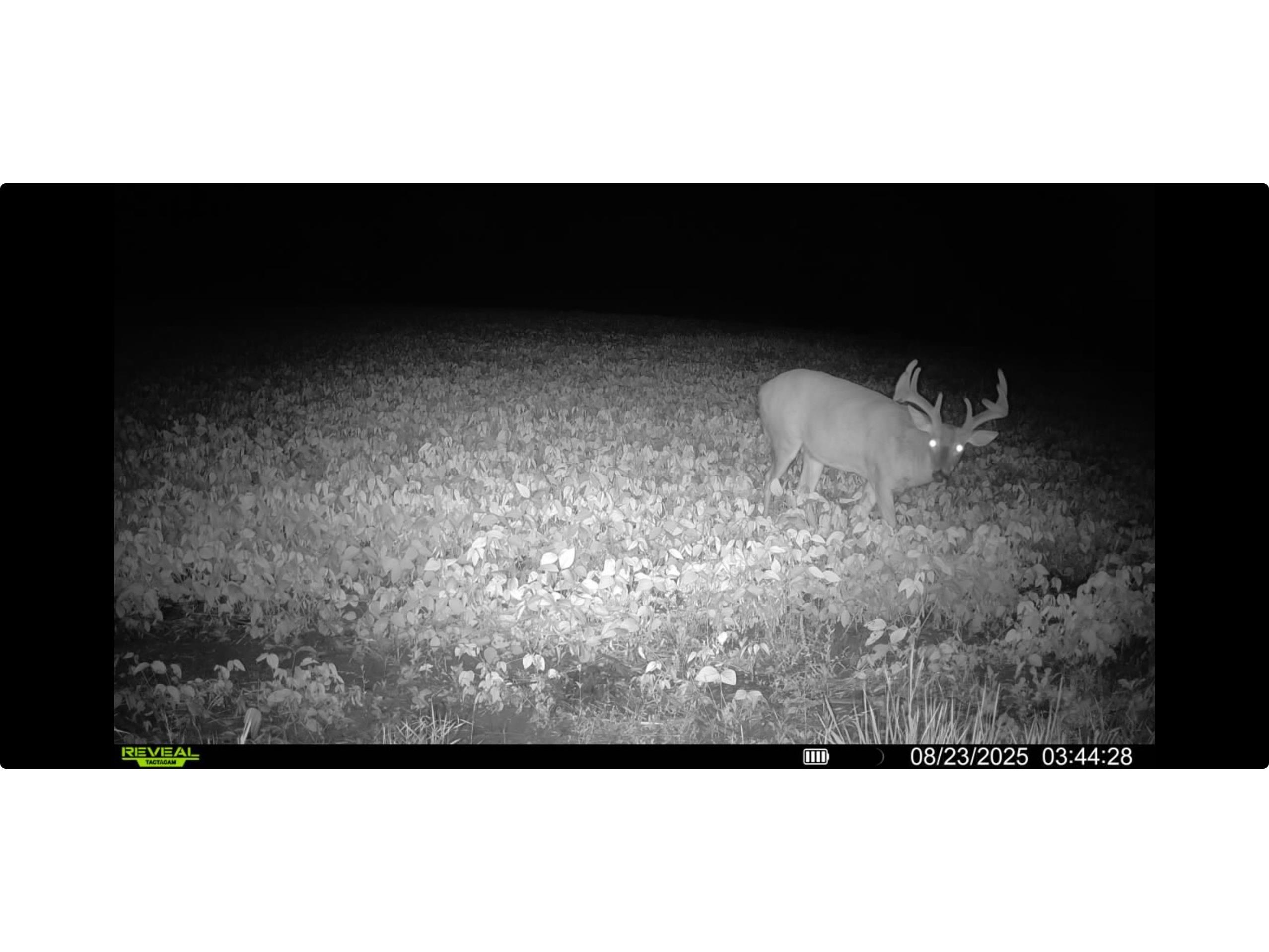 N8771 Fye Road Trego WI 54888 1601610 image34