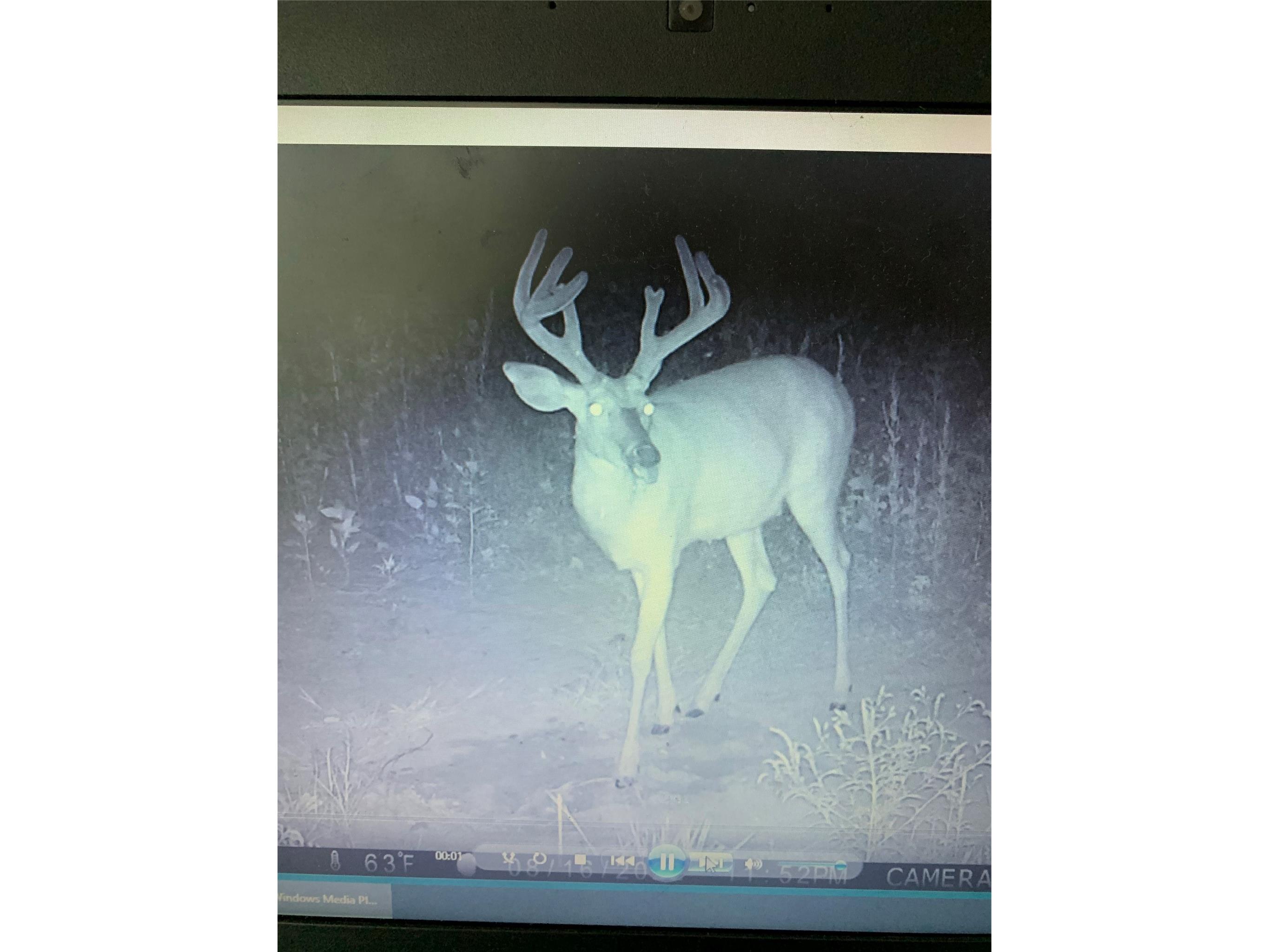 N8771 Fye Road Trego WI 54888 1601610 image5