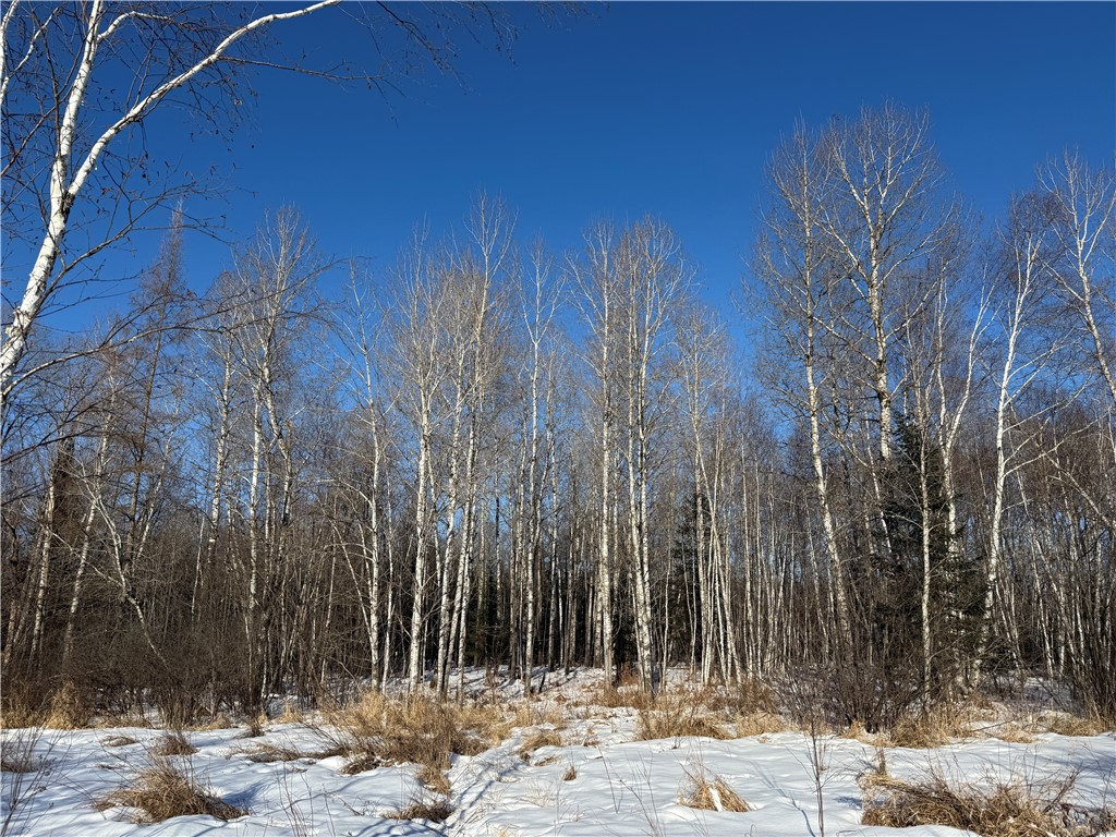 N8817 Smith Drive Sheldon WI 54766 1598687 image10