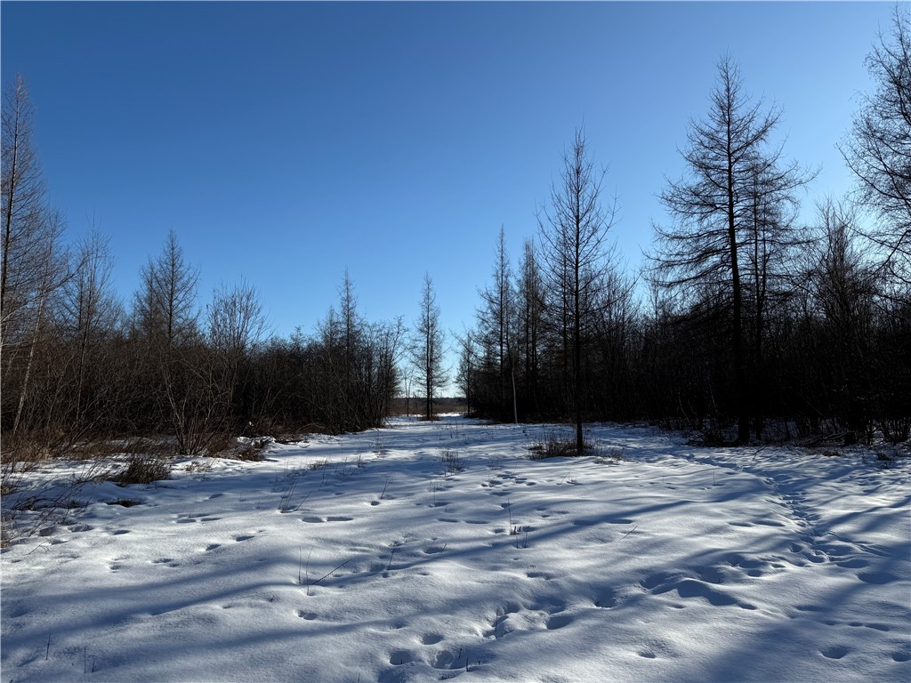 N8817 Smith Drive Sheldon WI 54766 1598687 image13