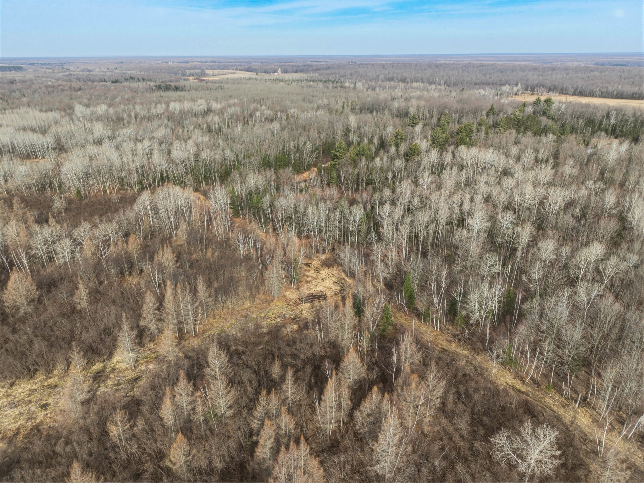 N8817 Smith Drive Sheldon WI 54766 1598687 image3