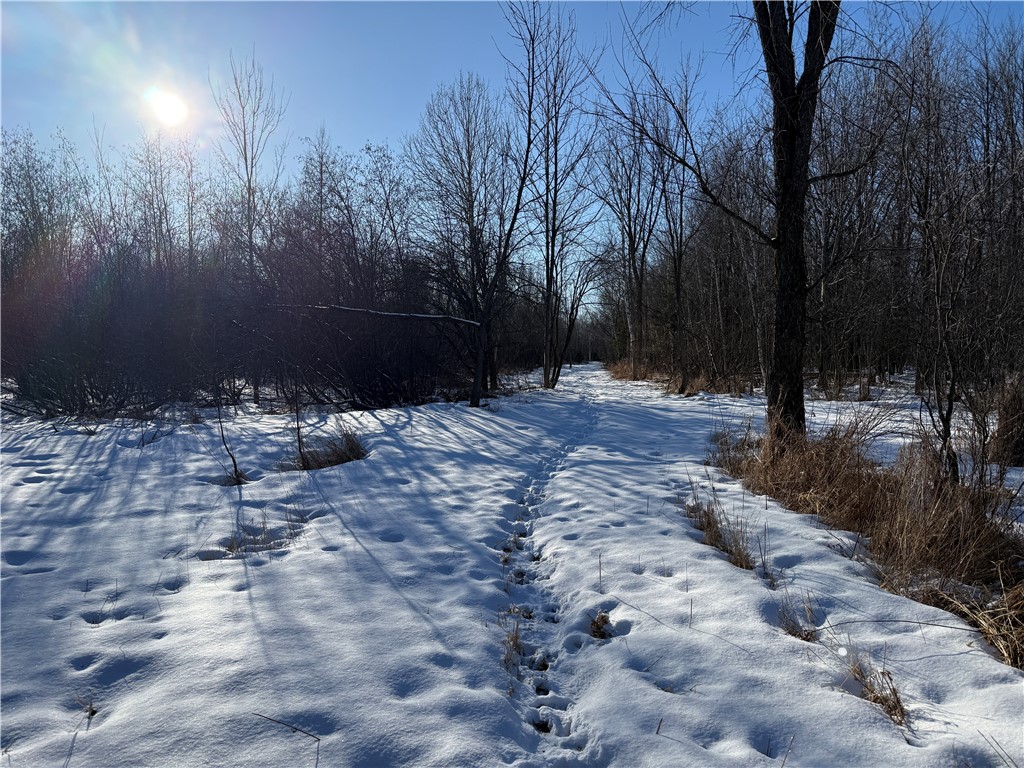 N8817 Smith Drive Sheldon WI 54766 1598687 image8