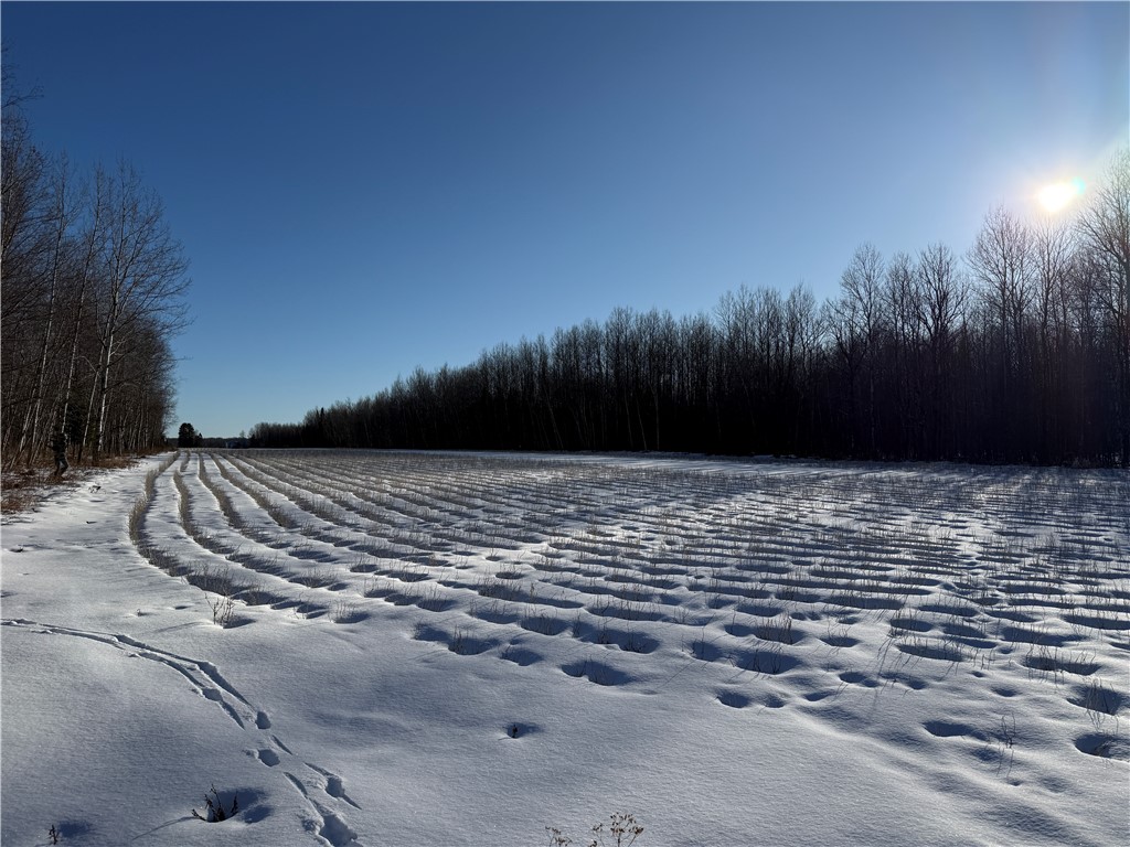 N8817 Smith Drive Sheldon WI 54766 1598687 image9