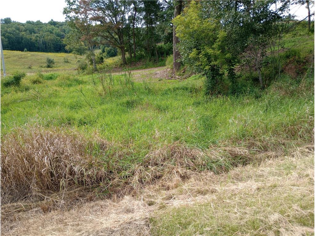 N8825 County Road G Hixton WI 54635 1595266 image16