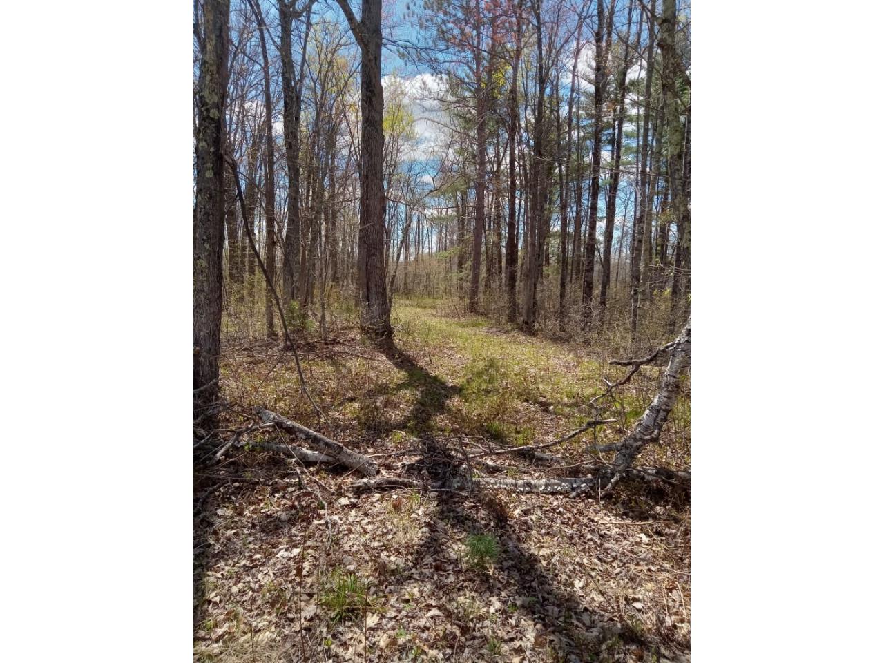 N8829 Cty E Road Hayward WI 54843 1598387 image2