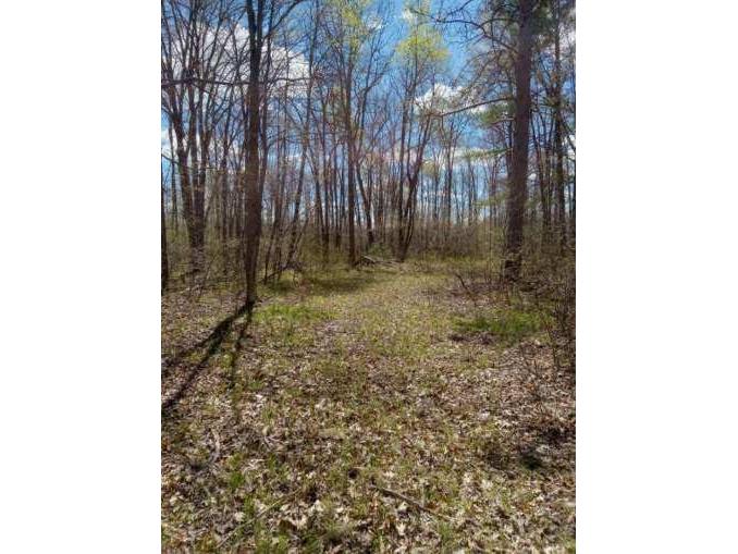 N8829 Cty E Road Hayward WI 54843 1598387 image3