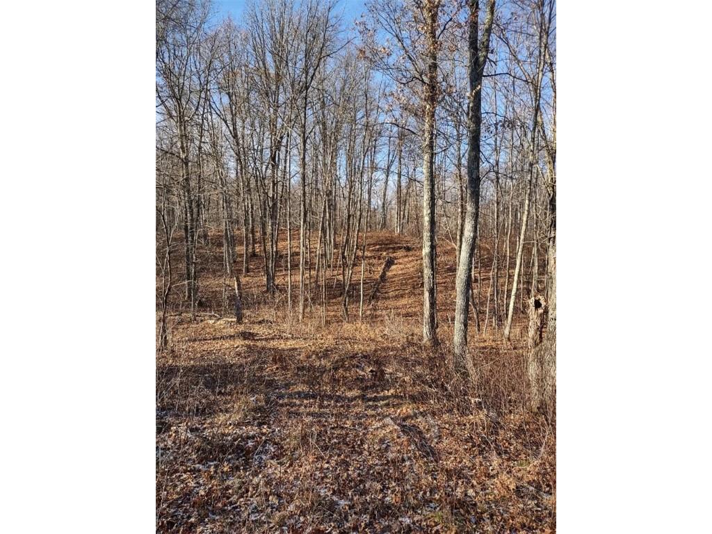 N8965 Pretty Road Springbrook WI 54875 1578818 image1