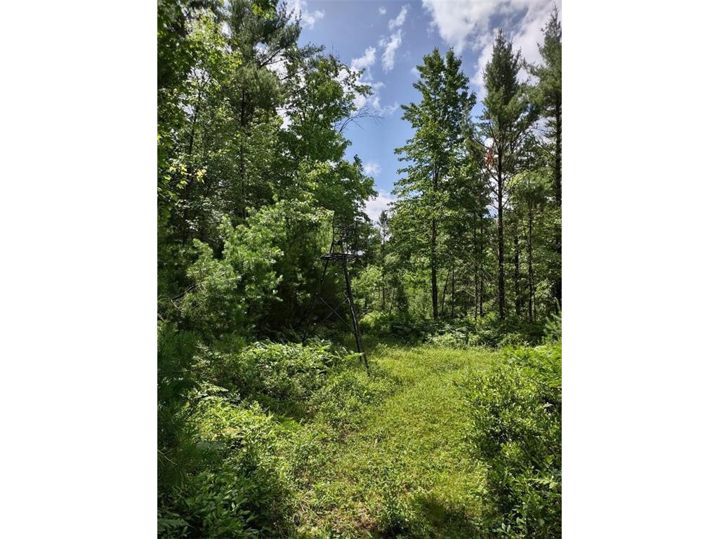 N8976 Flood Road Black River Falls WI 54615 1574890 image1