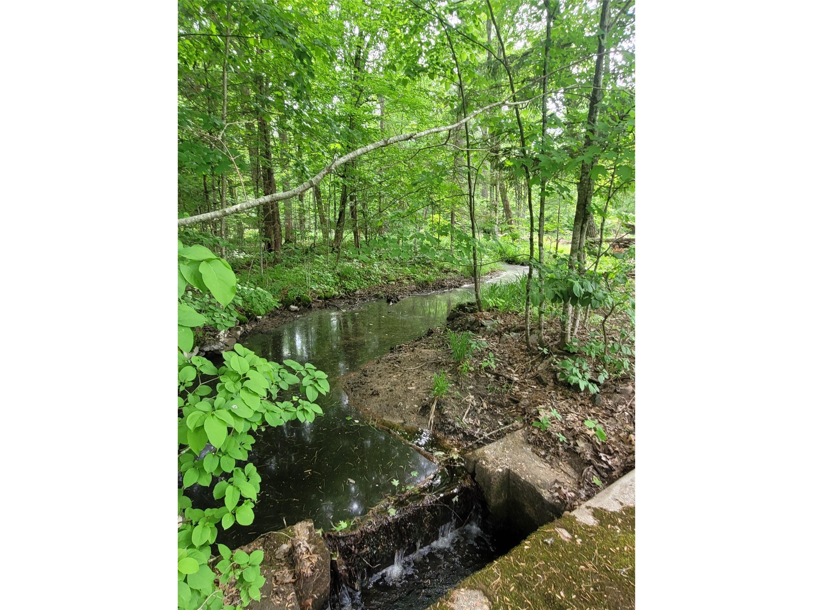N900 Resewood Avenue Neillsville WI 54456 - Lake Arbutus/Black River 1597245 image17