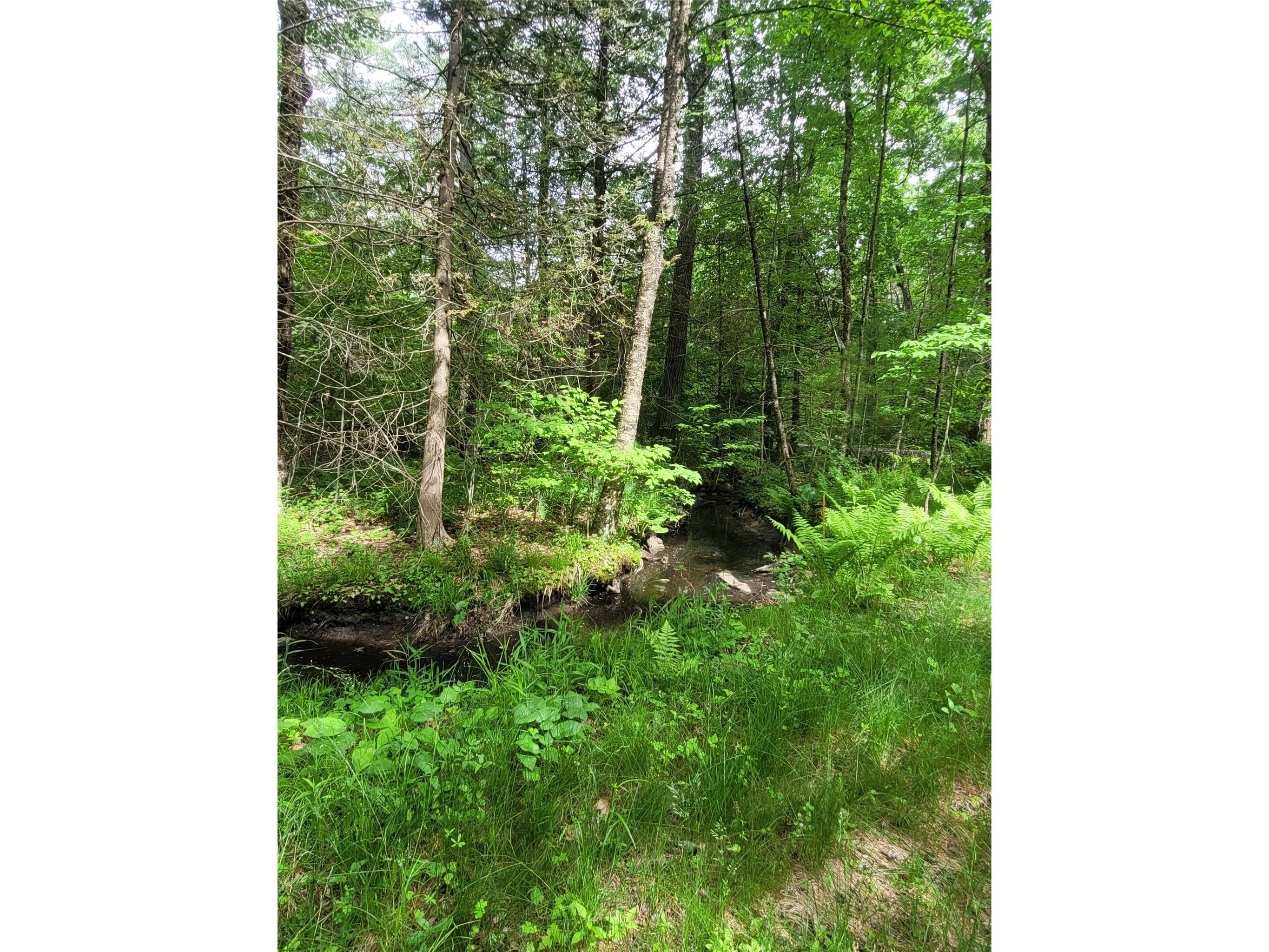 N900 Resewood Avenue Neillsville WI 54456 - Lake Arbutus/Black River 1597245 image18