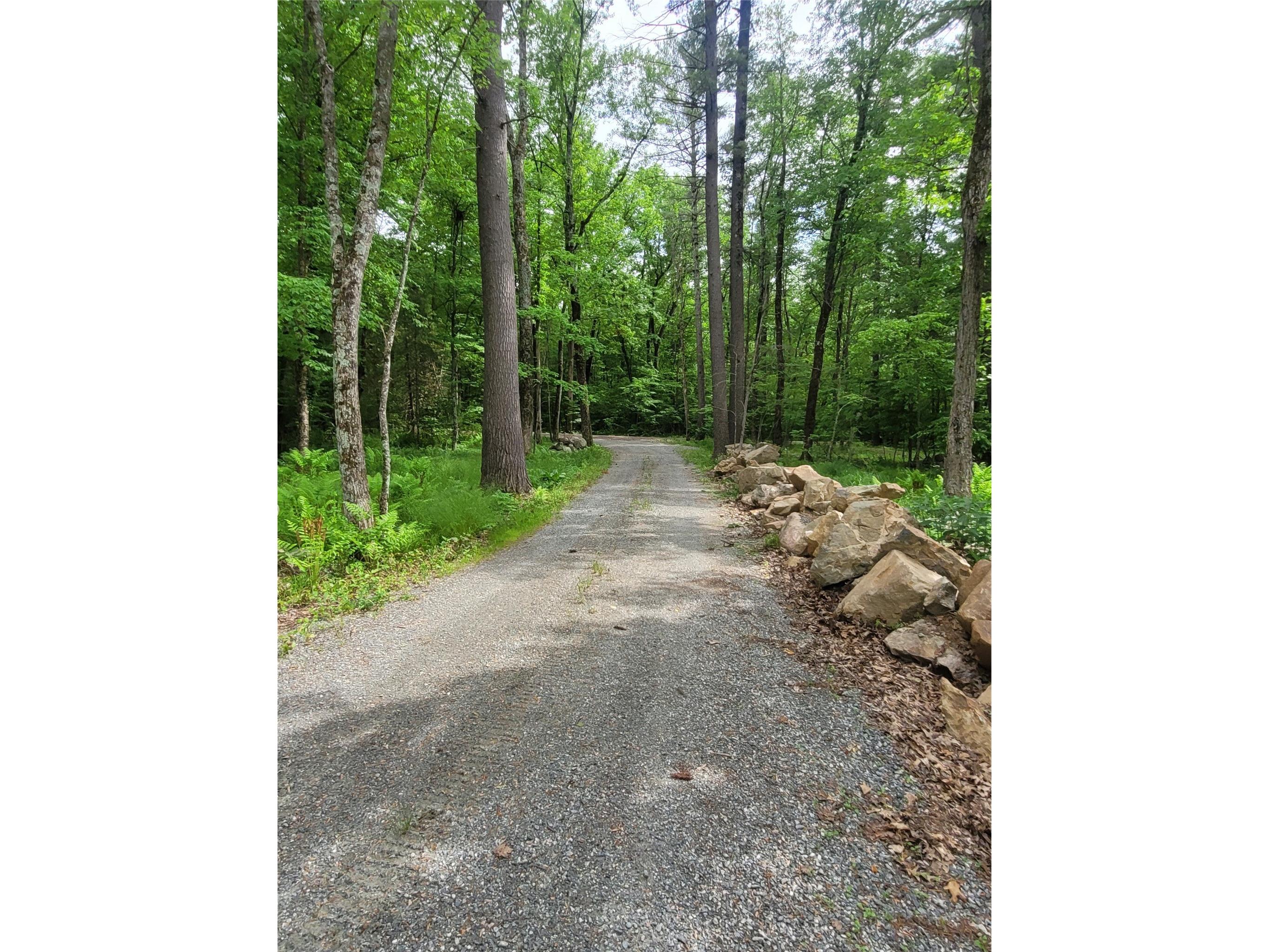 N900 Resewood Avenue Neillsville WI 54456 - Lake Arbutus/Black River 1597245 image40